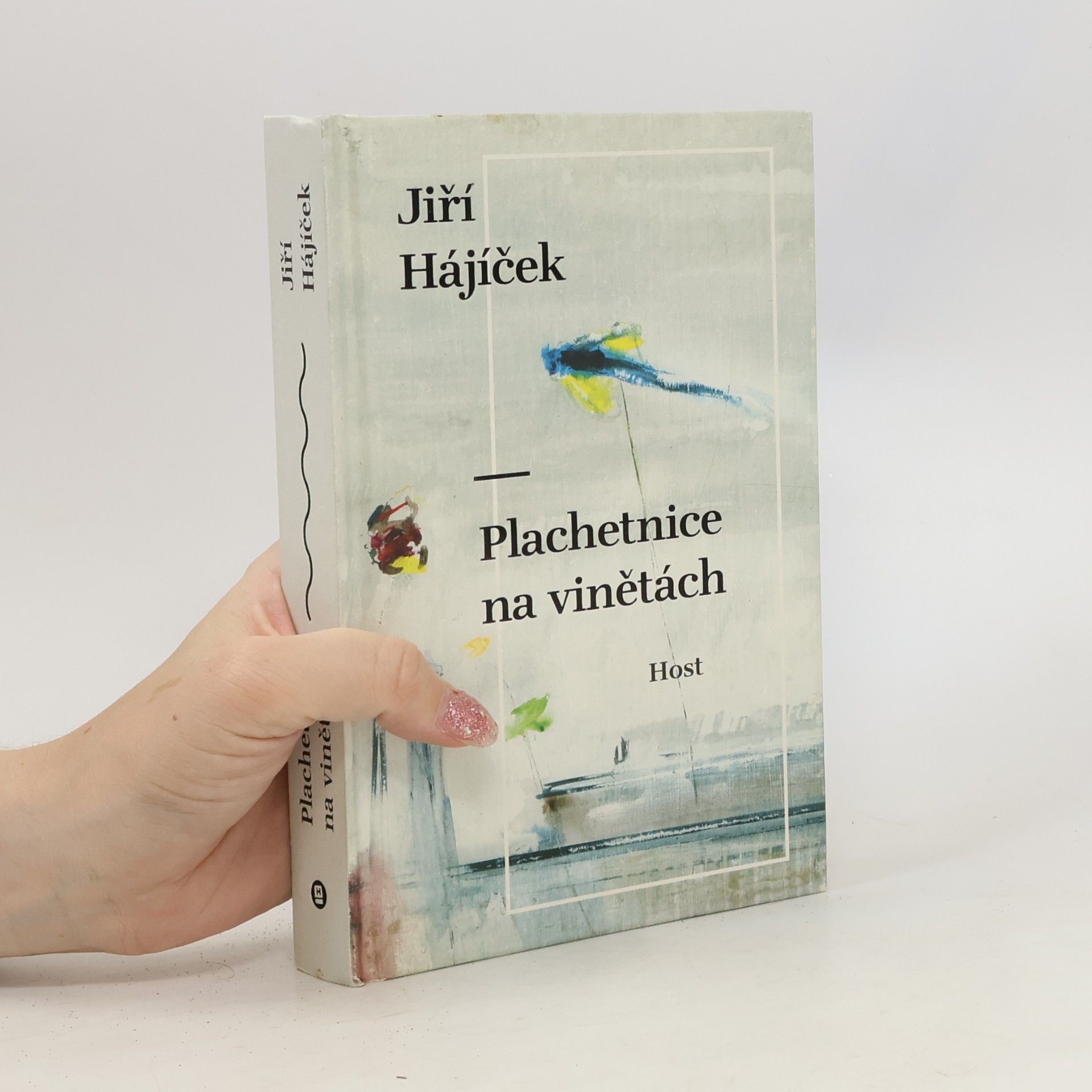 Jiří Hájíček Plachetnice na vinětách