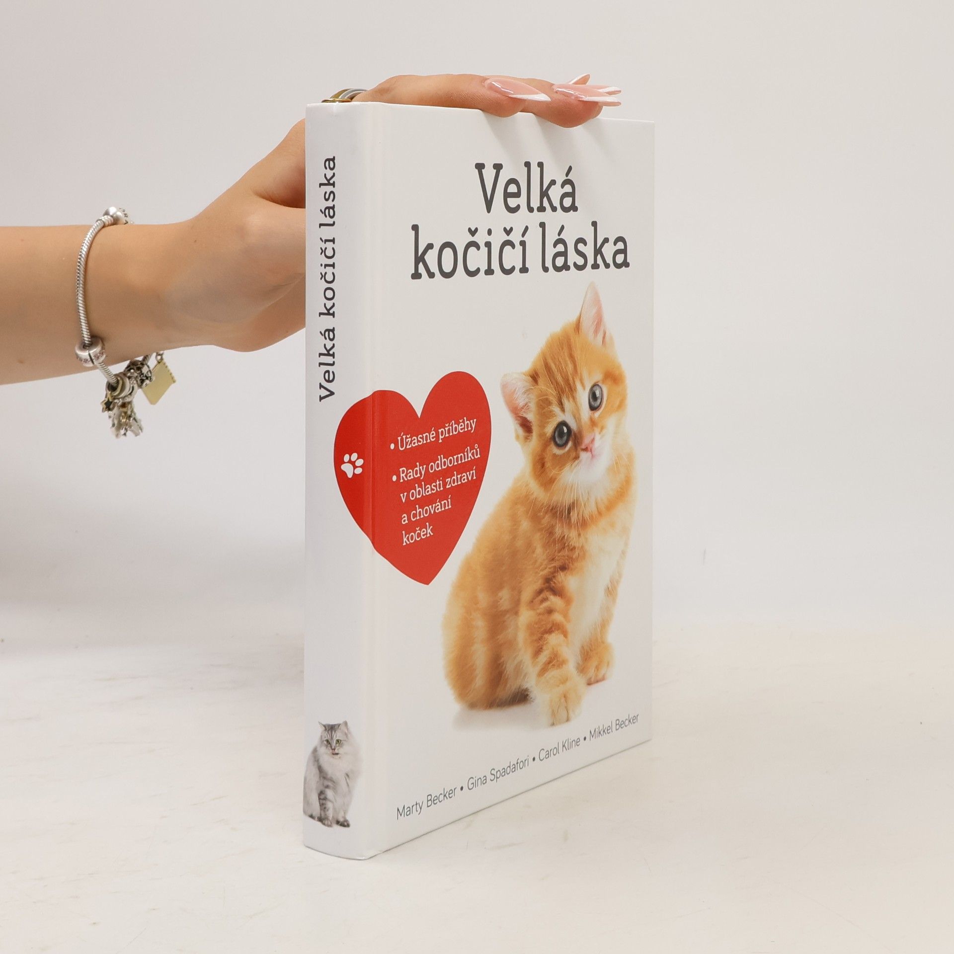 Velká kočičí láska