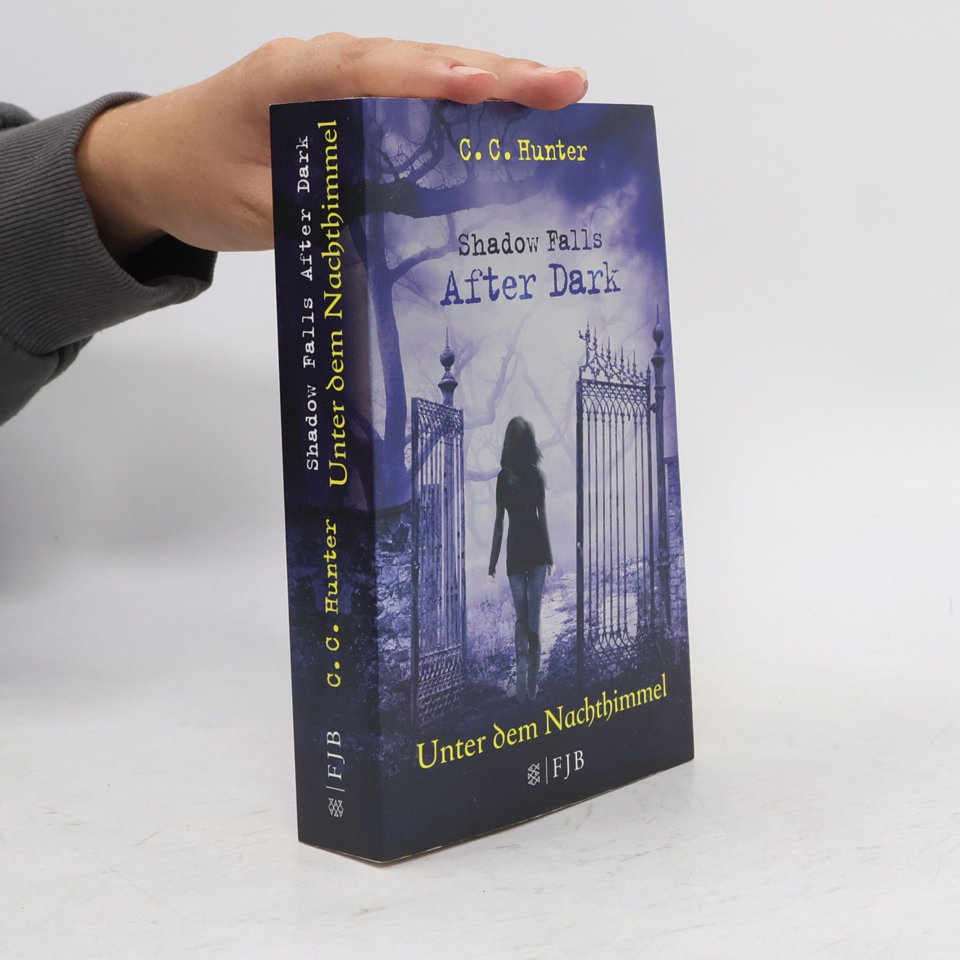 C.C. Hunter Unter dem Nachthimmel