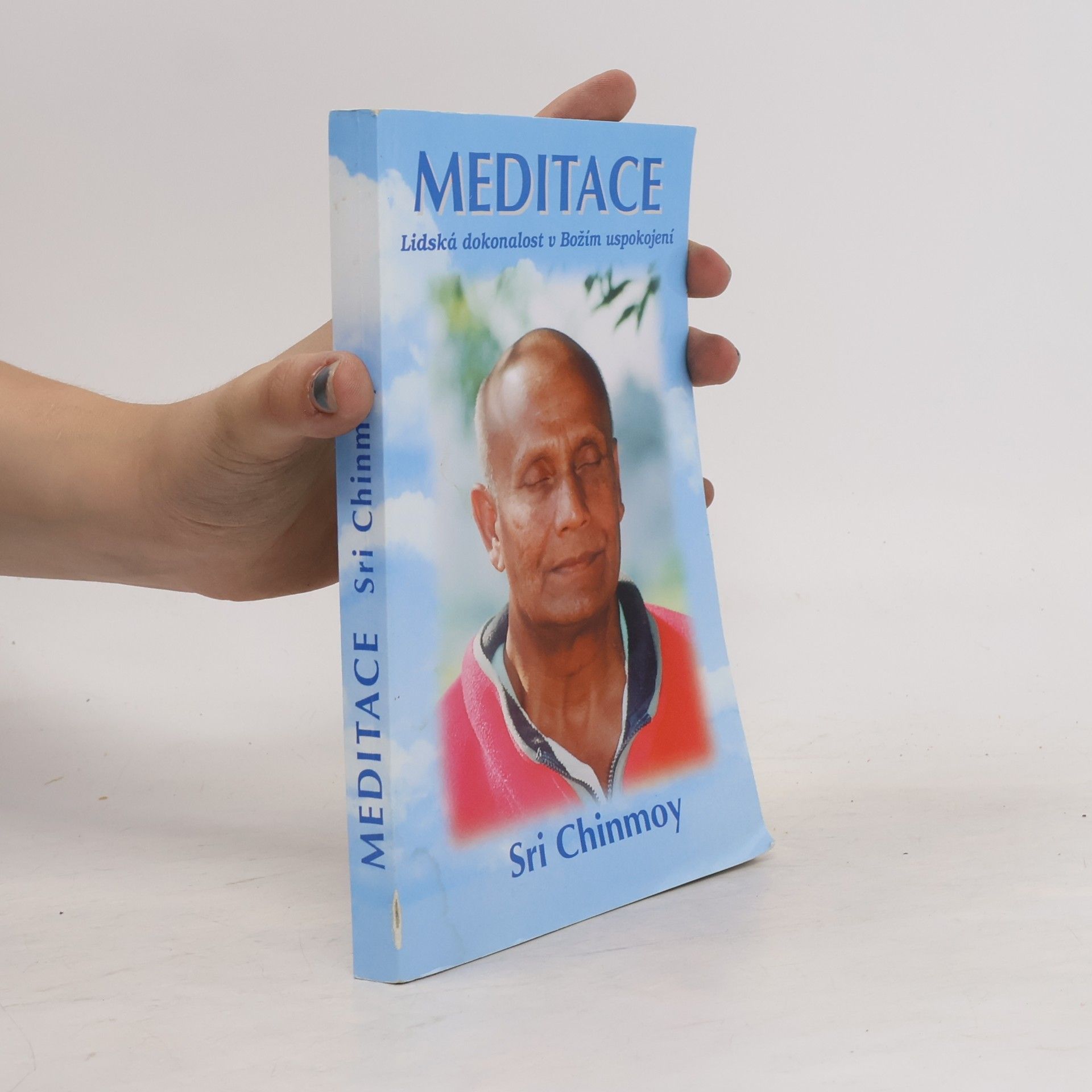 Chinmoy Kumar Ghose Meditace. Lidská dokonalost v Božím uspokojení
