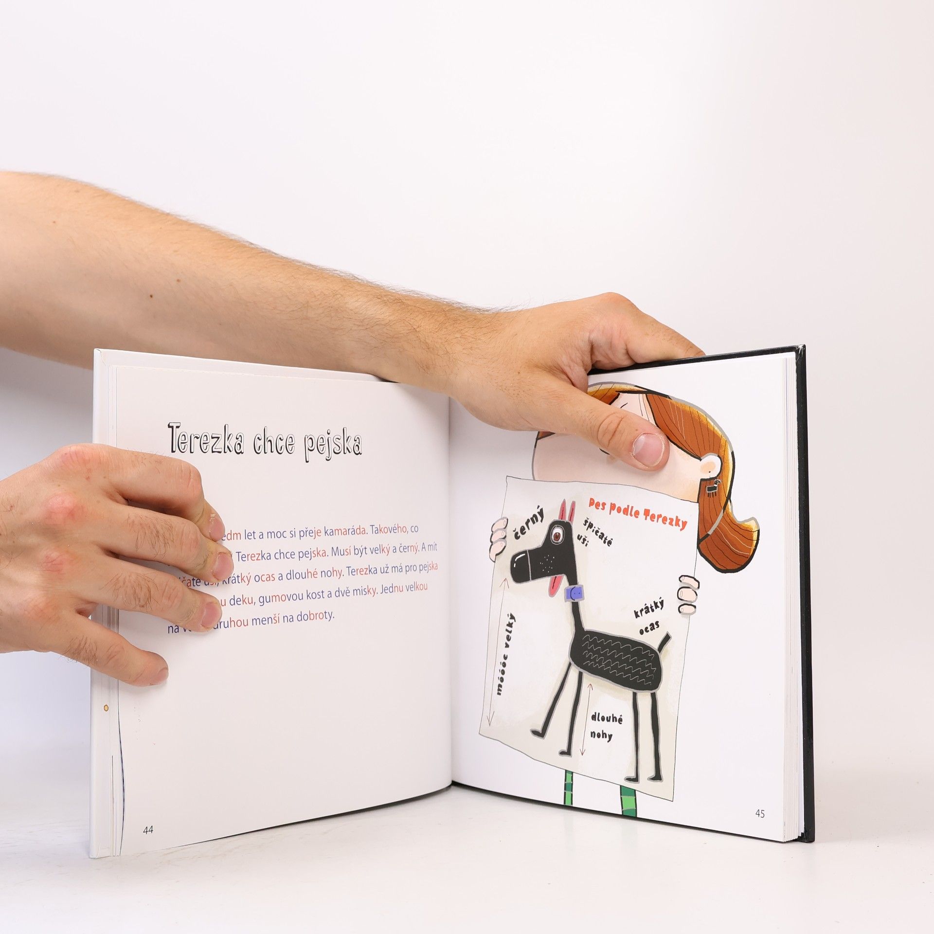 Collectif d'auteurs Terezka chce pejska