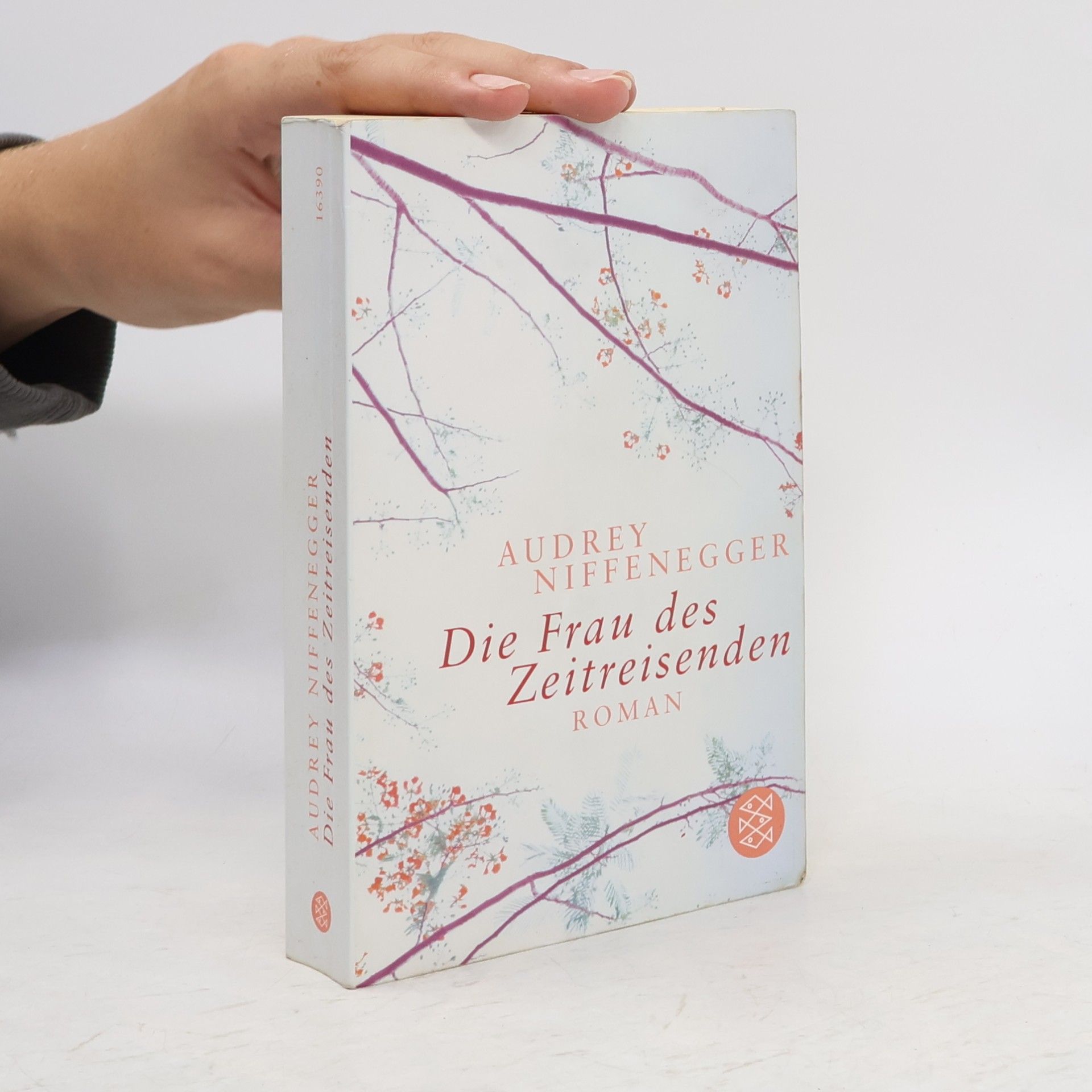Audrey Niffenegger Die Frau des Zeitreisenden