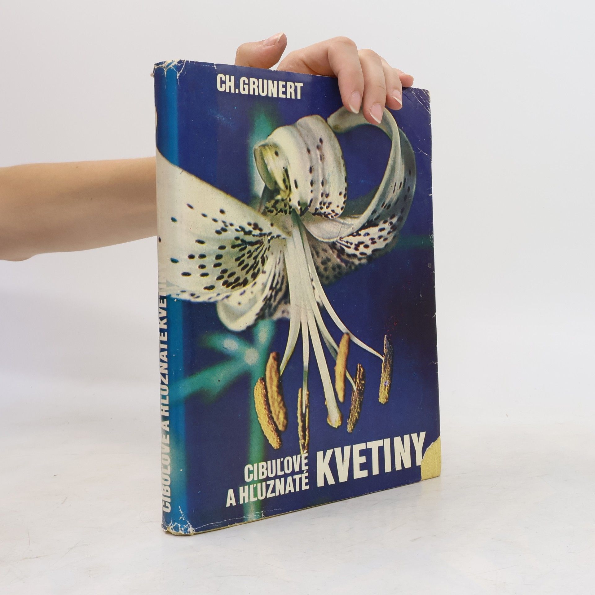 Christian Grunert Cibuľové a hľuznaté kvetiny