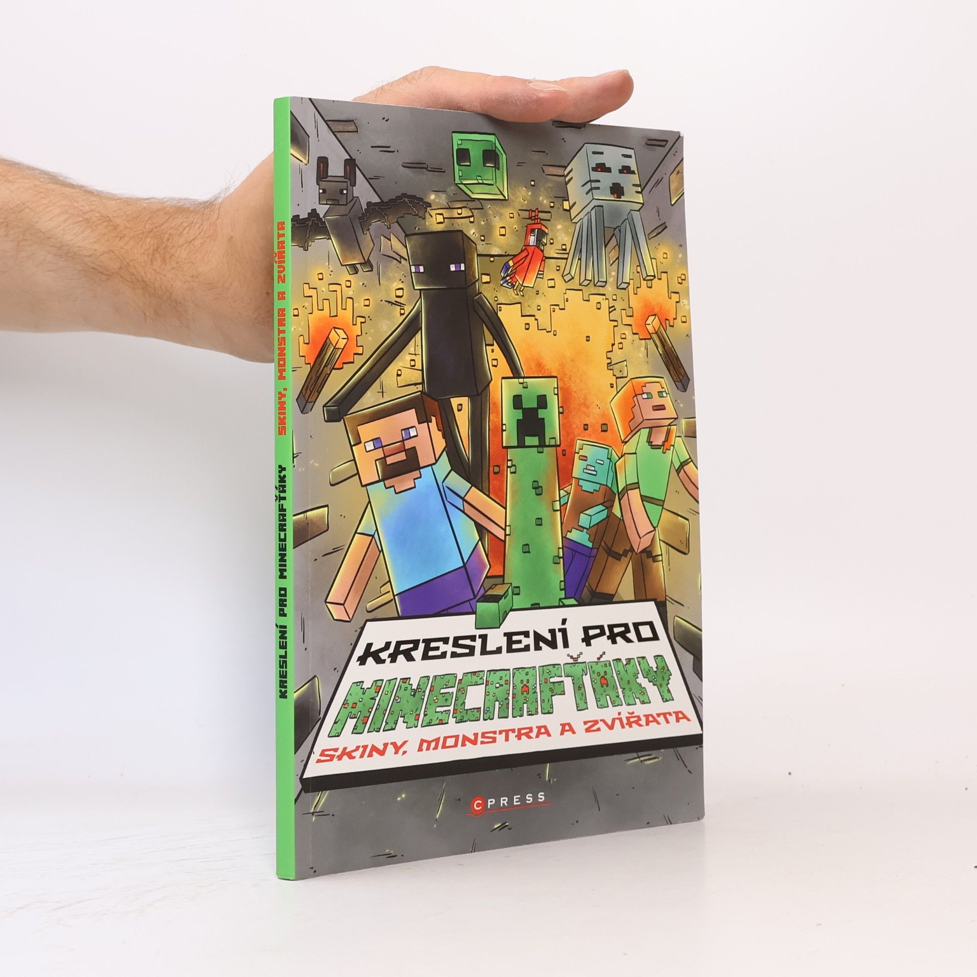 Michaela Radvanová Kreslení pro Minecrafťáky