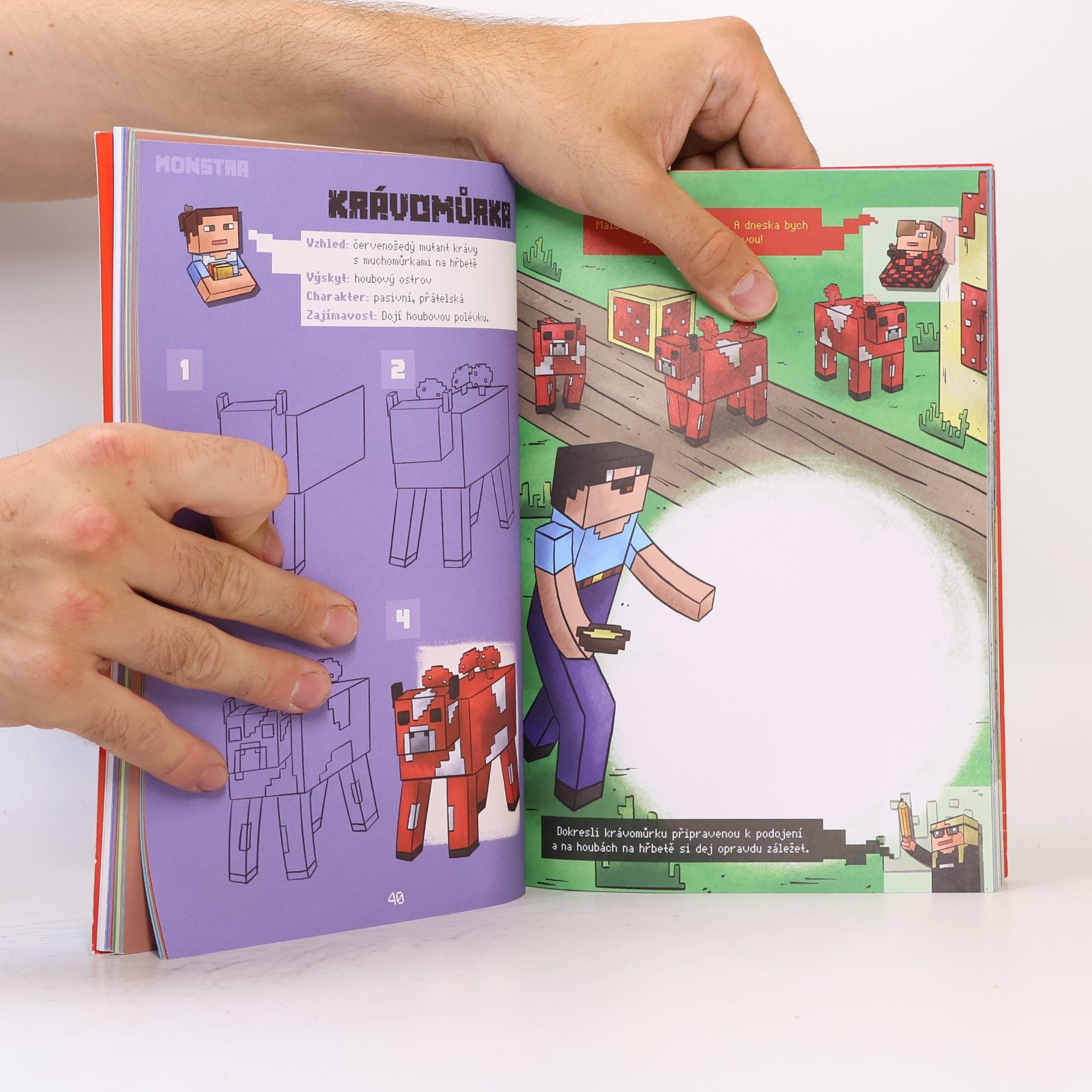 Michaela Bystrá Kreslení pro Minecrafťáky