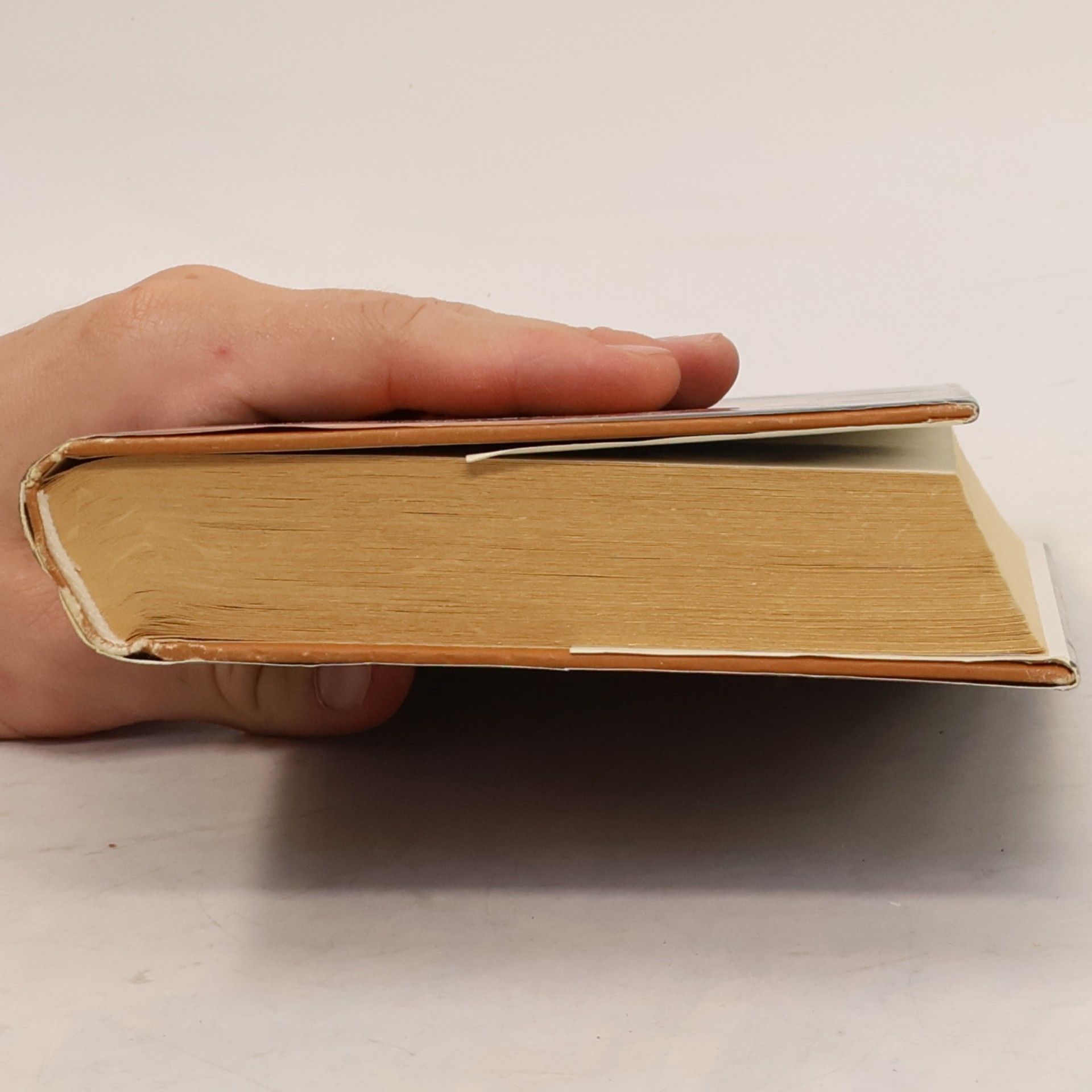 Jeffery Deaver Ďáblova slza