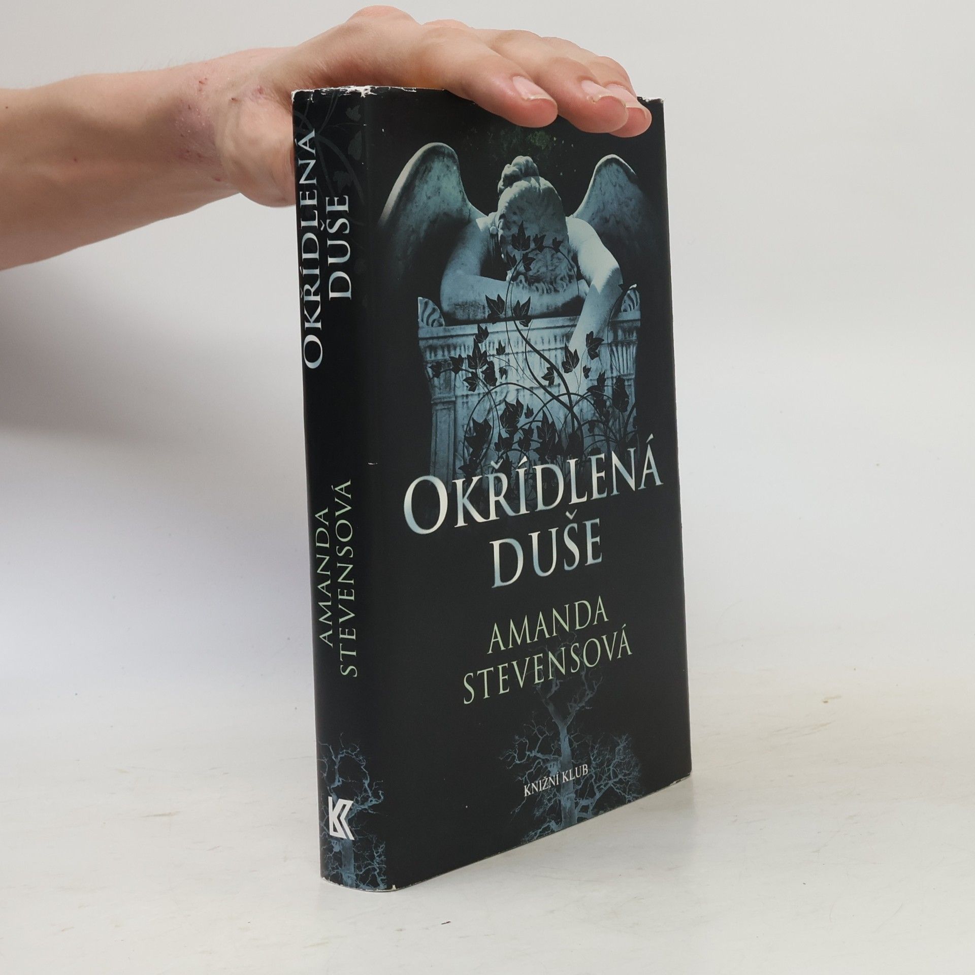 Amanda Stevens Okřídlená duše