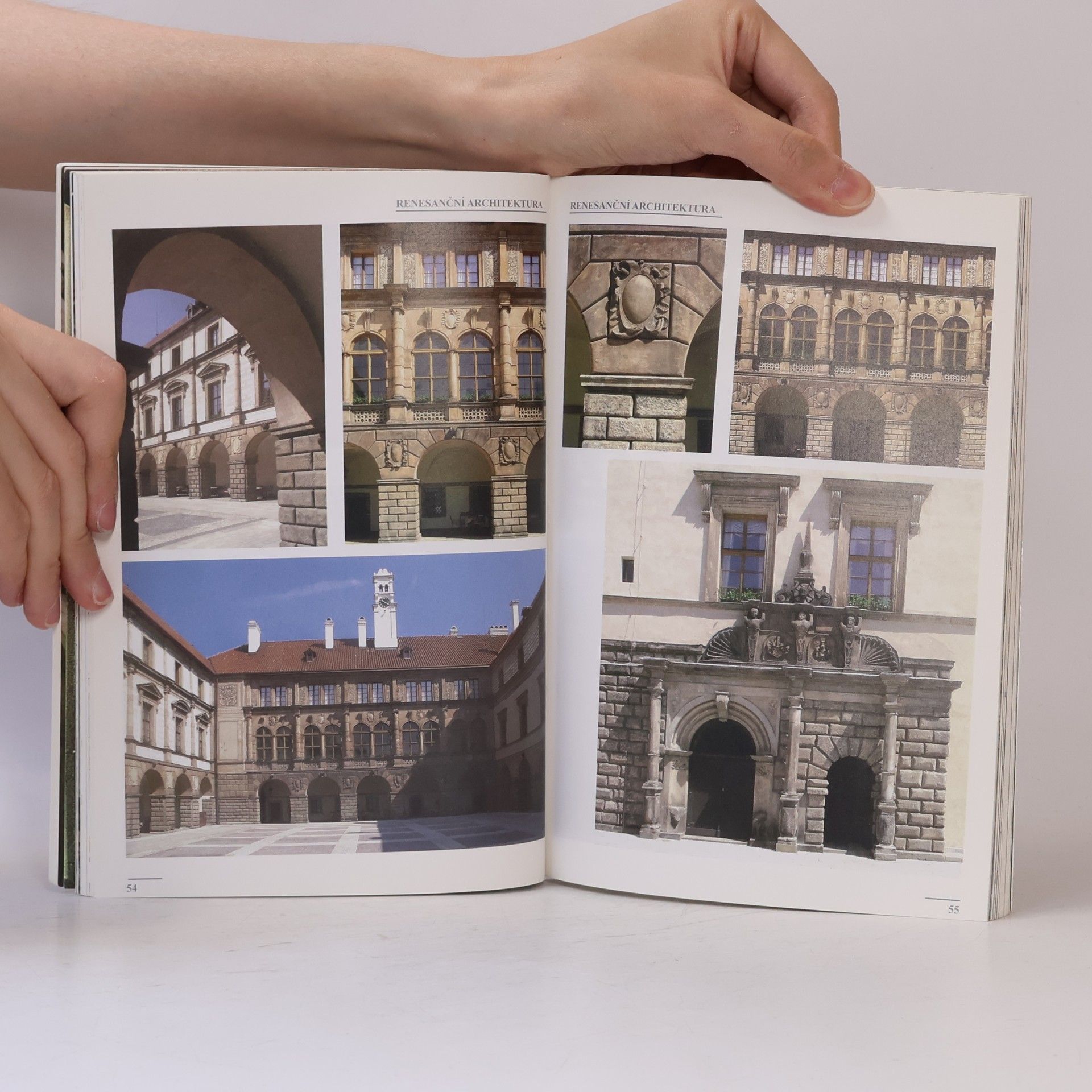 Petr Dvořáček Renesance. Architektura českých zemí