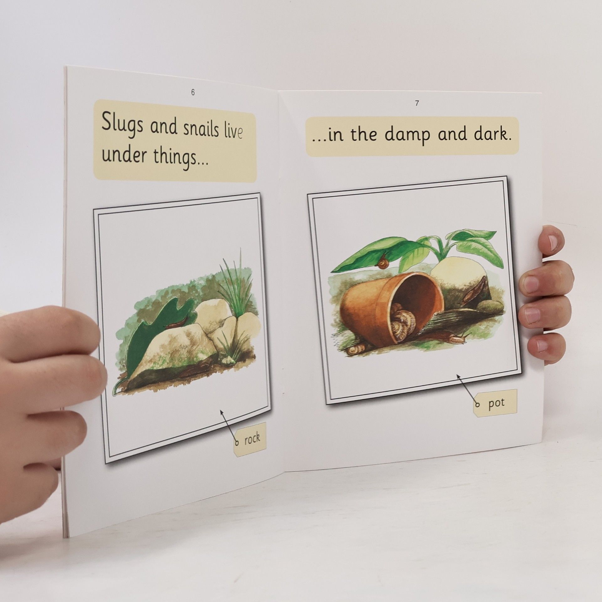Sara Wernham Jolly Phonics - 1: Slugs and Snails