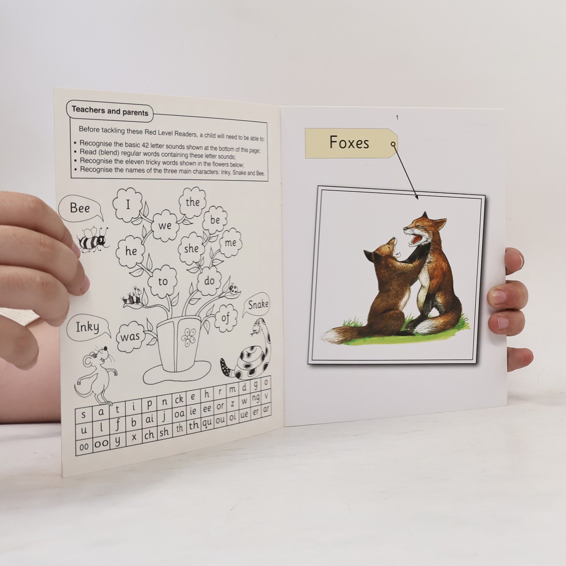 Sara Wernham Jolly Phonics: Foxes