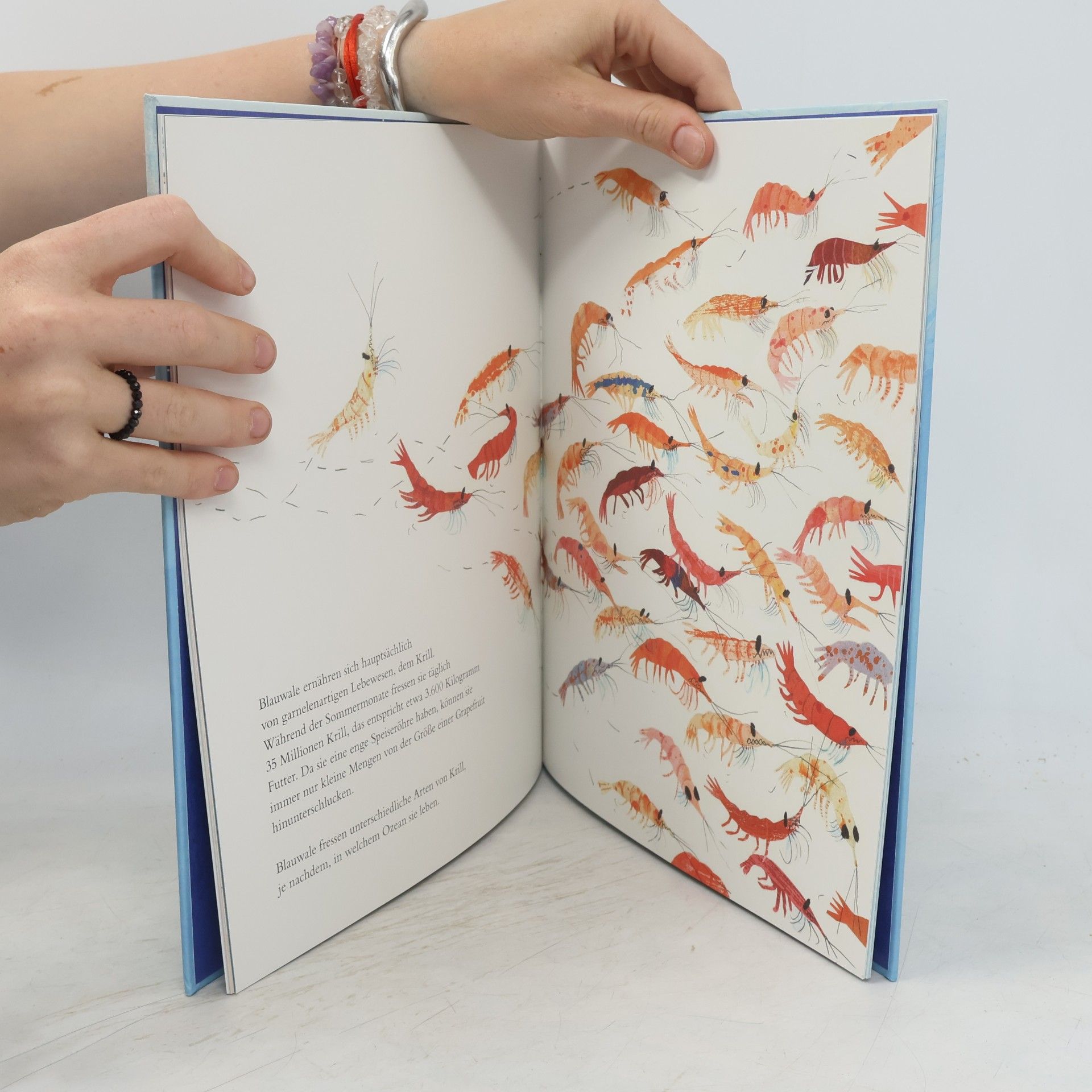 Jenni Desmond Der Blauwal