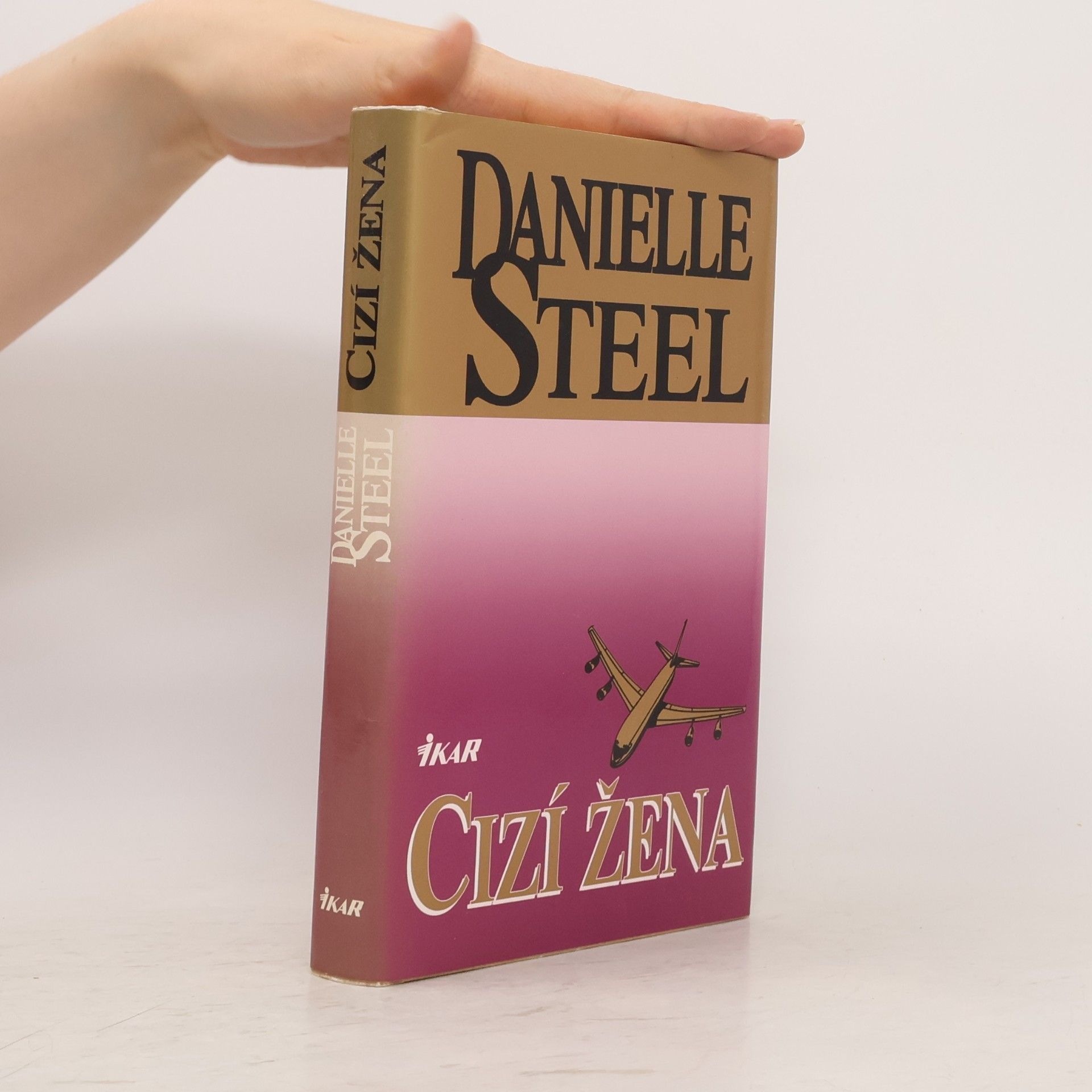 Danielle Steel Cizí žena