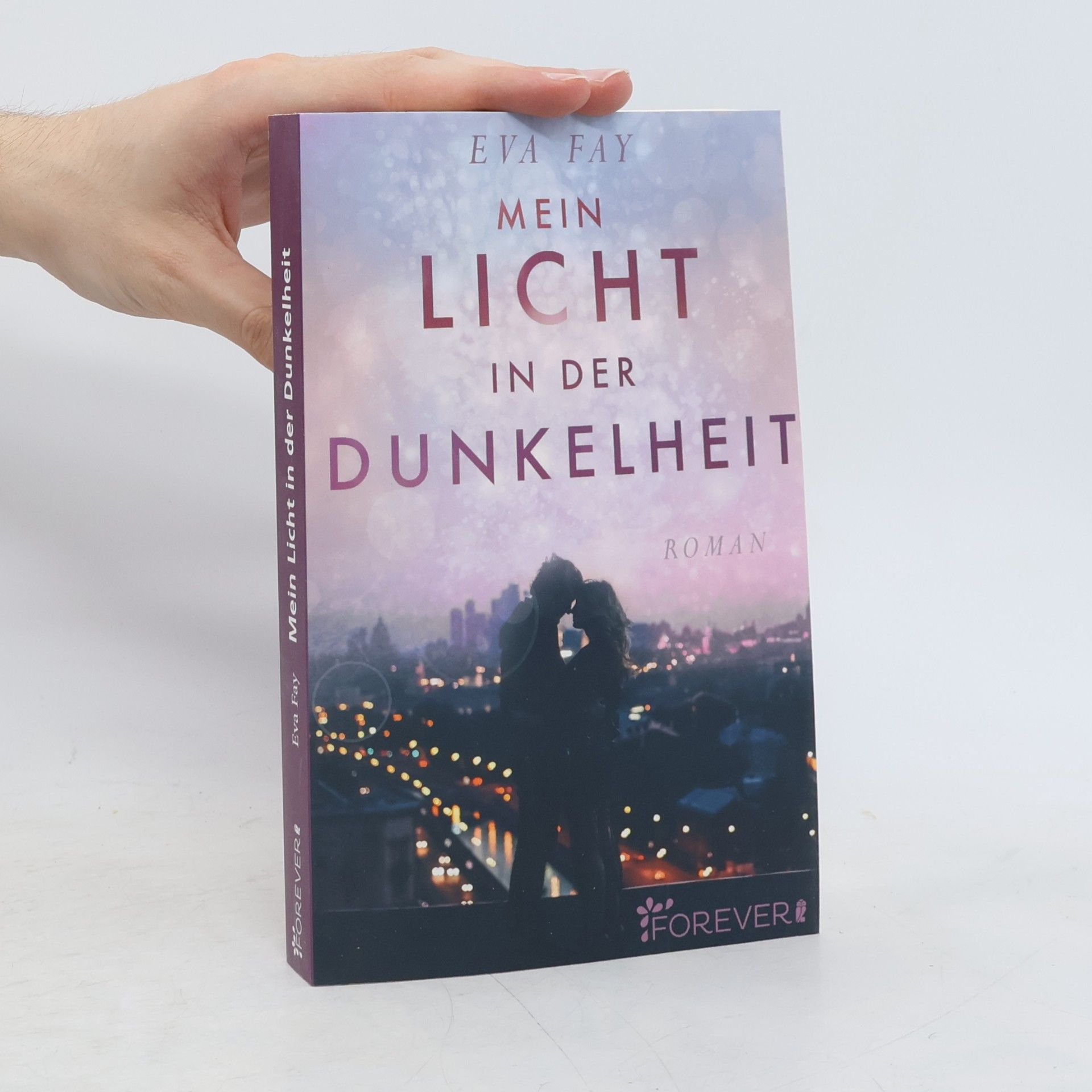 Eva Fay Mein Licht in der Dunkelheit