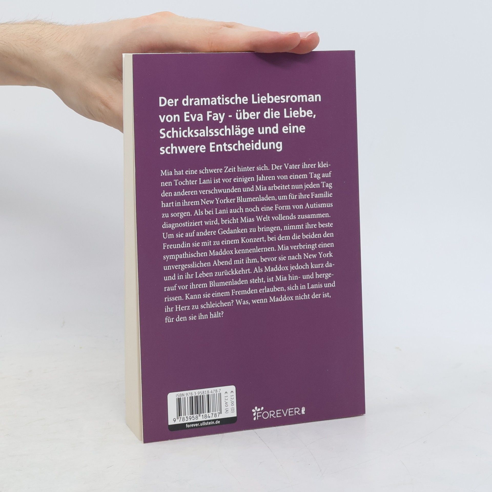 Eva Fay Mein Licht in der Dunkelheit