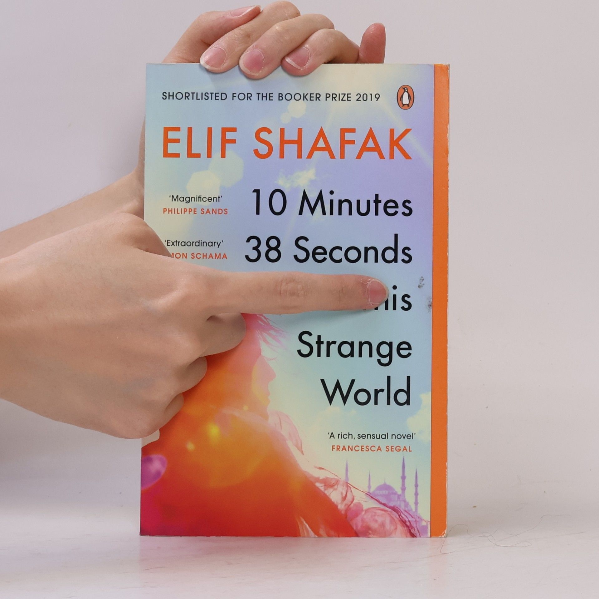 Elif Şafak 10 Minutes 38 Seconds in This Strange World