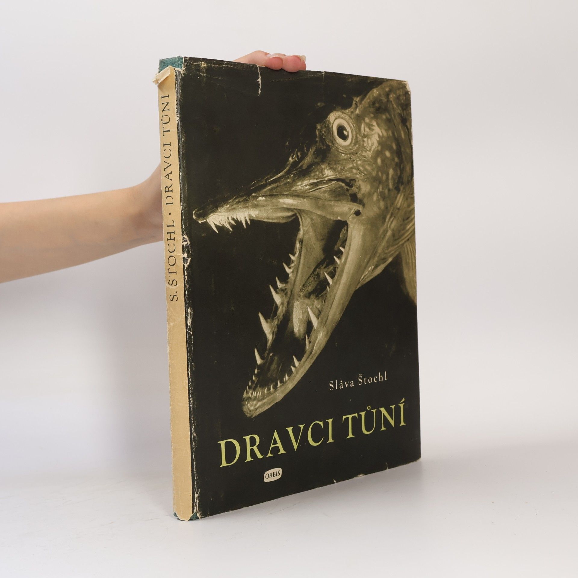 Dravci tůní