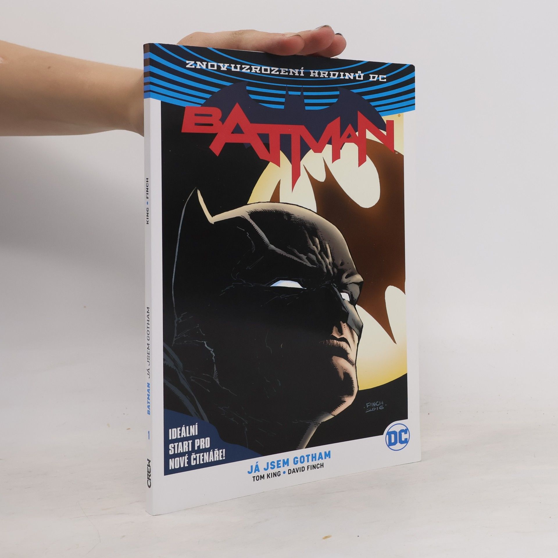 Tom King Batman. 1. díl, Já jsem Gotham
