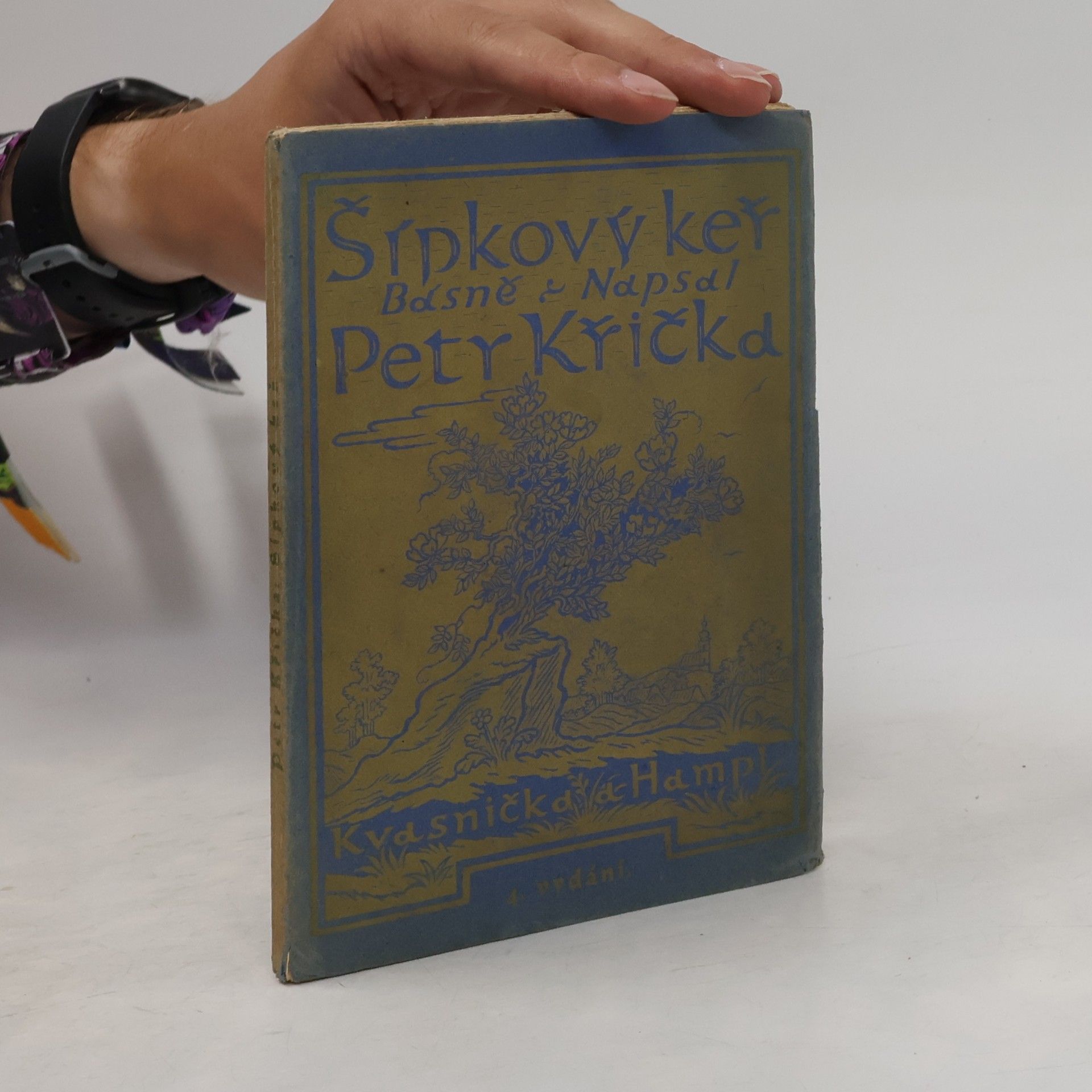 Petr Křička Šípkový keř