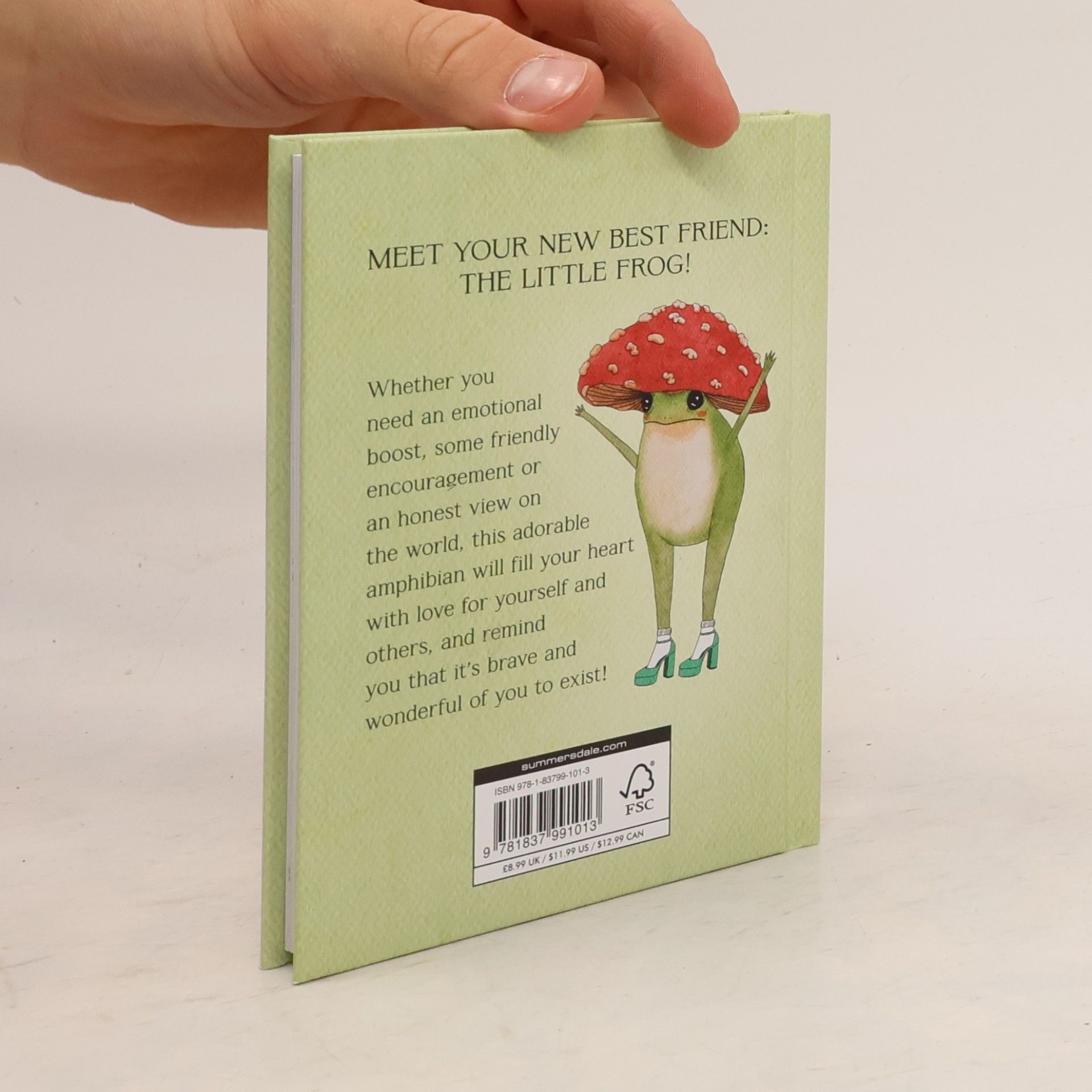 Maybell Eequay The Little Frog's Guide to Self-Care