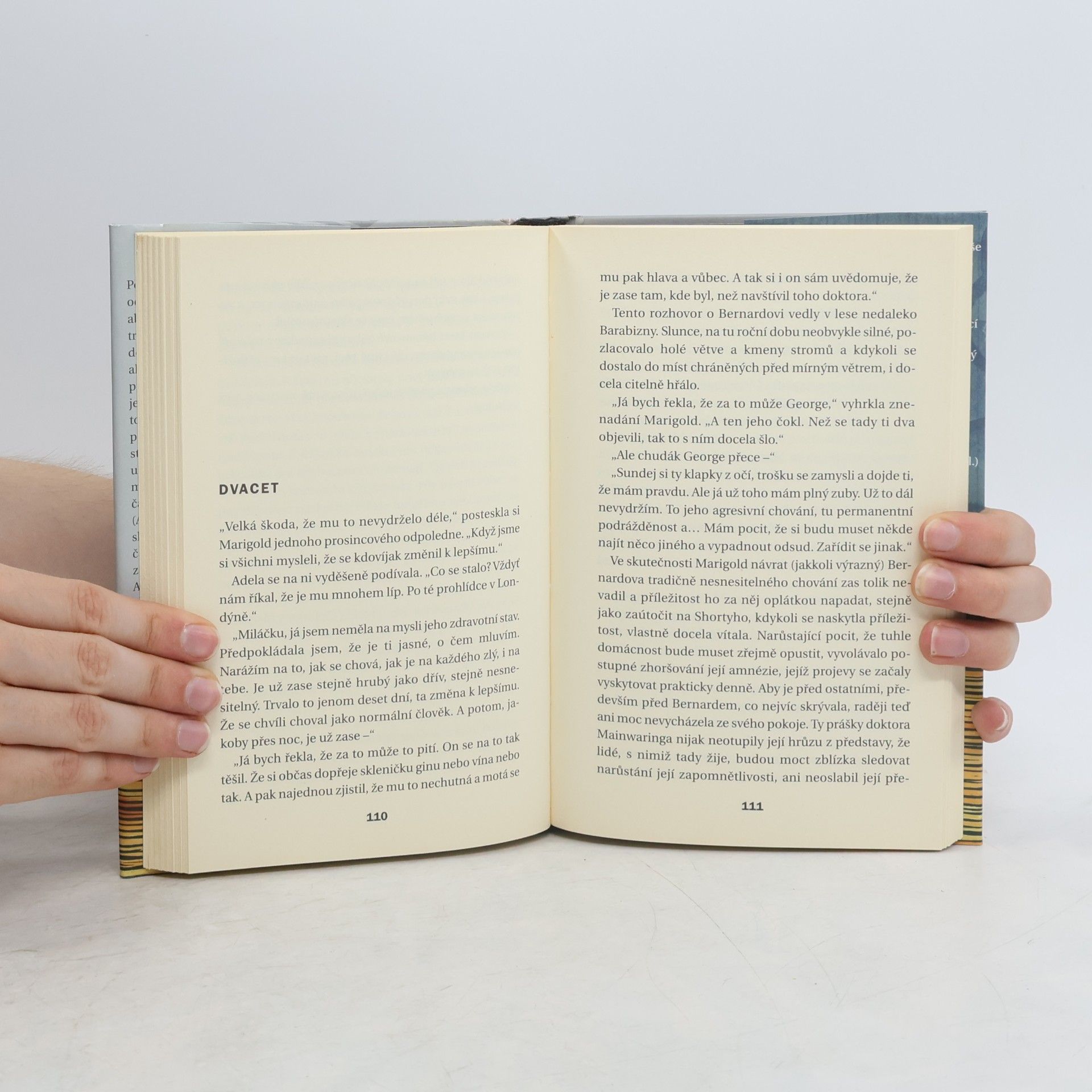 Kingsley Amis Konečná