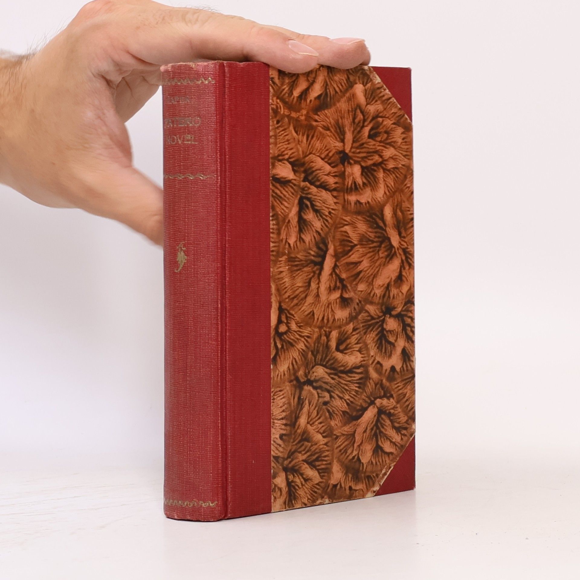 K. M. Čapek Patero novel