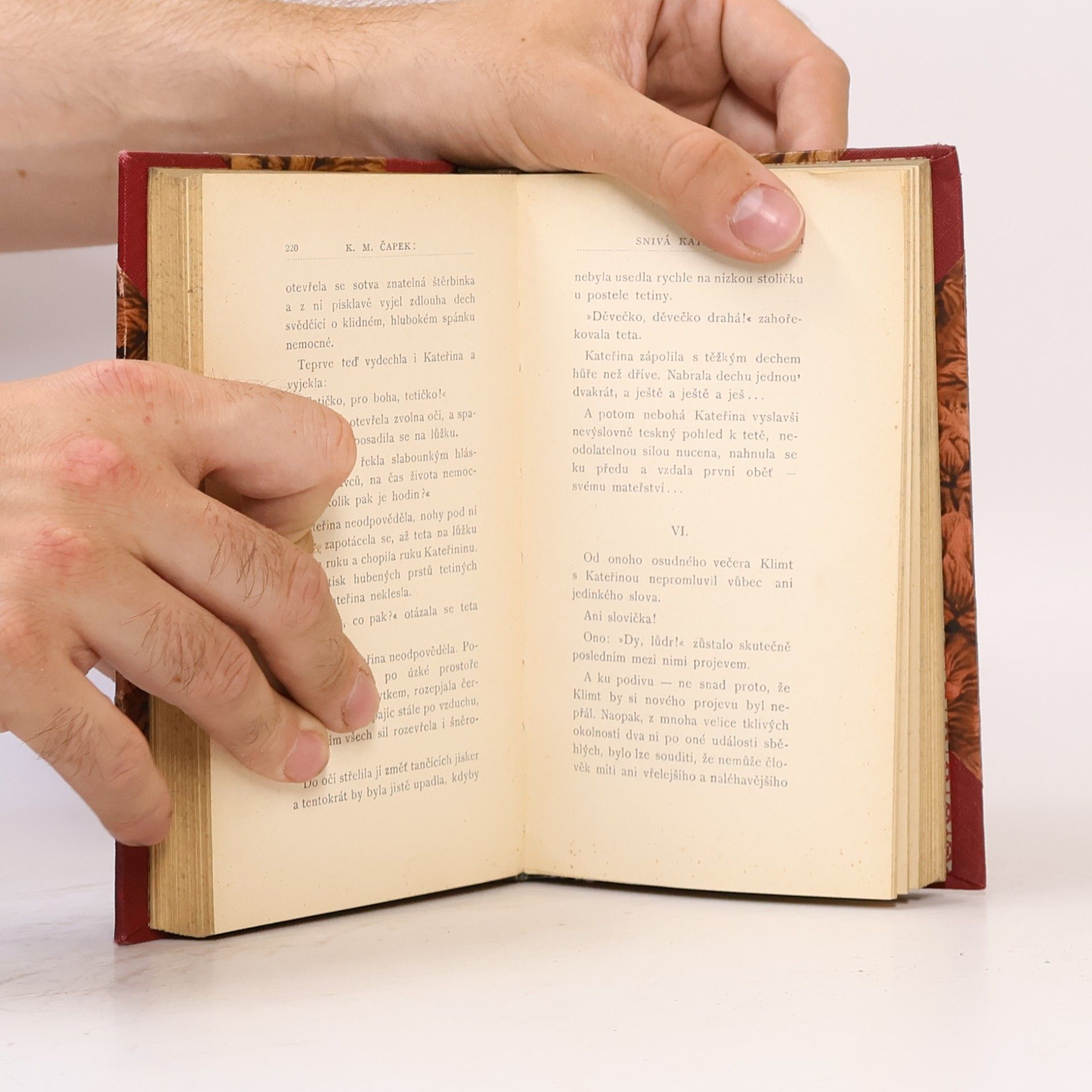 K. M. Čapek Patero novel