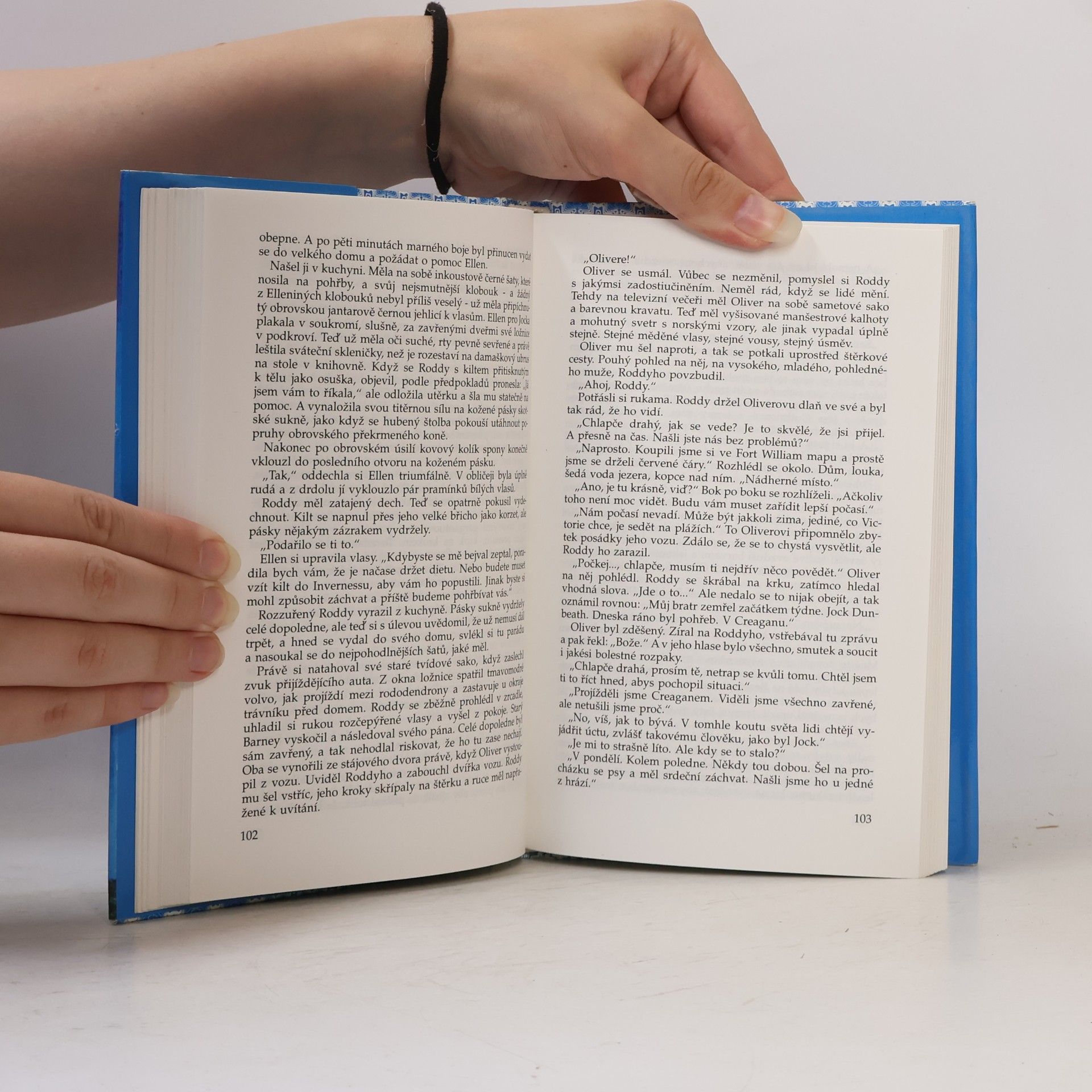 Rosamunde Pilcher Divoký tymián