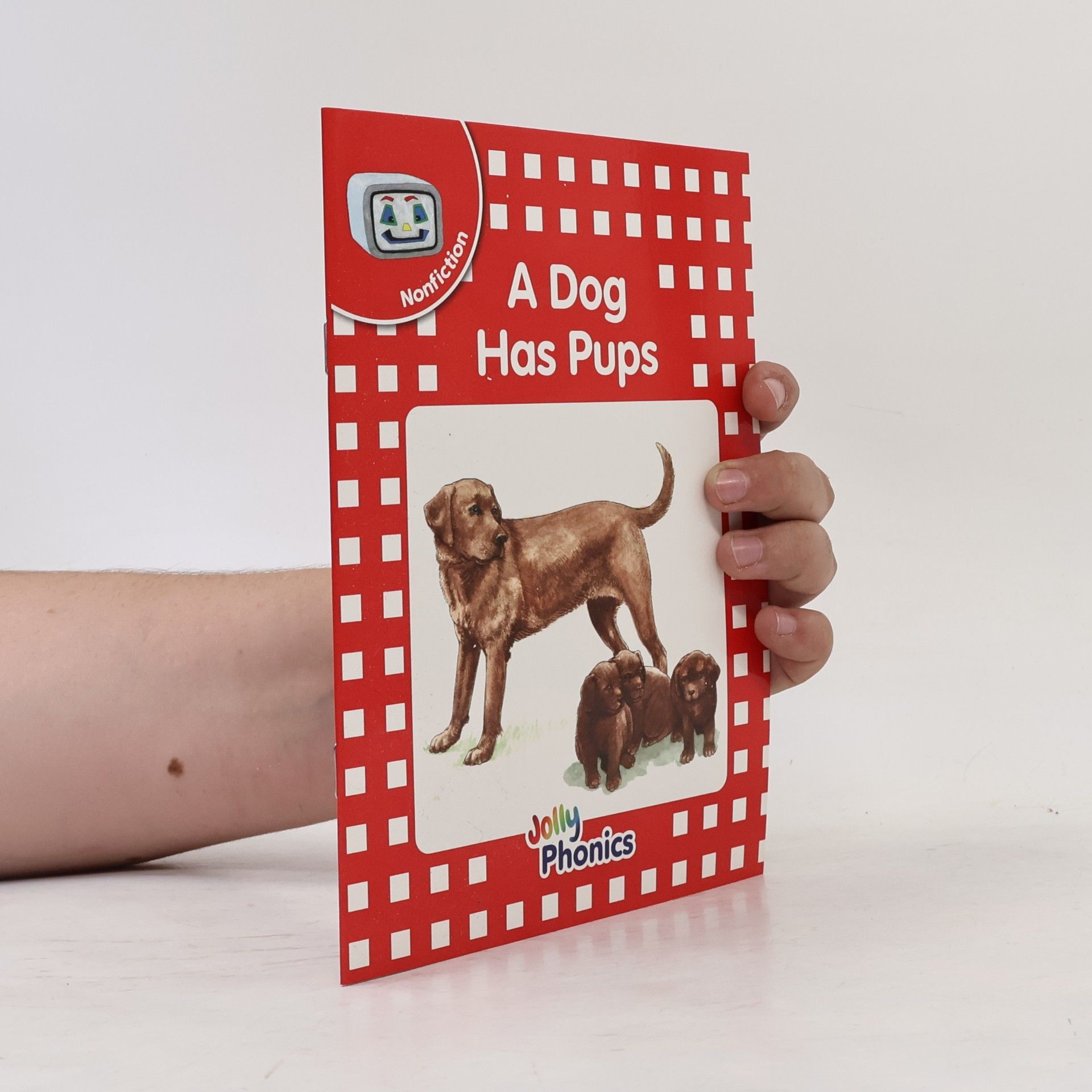 Various authors Jolly Phonics Reader