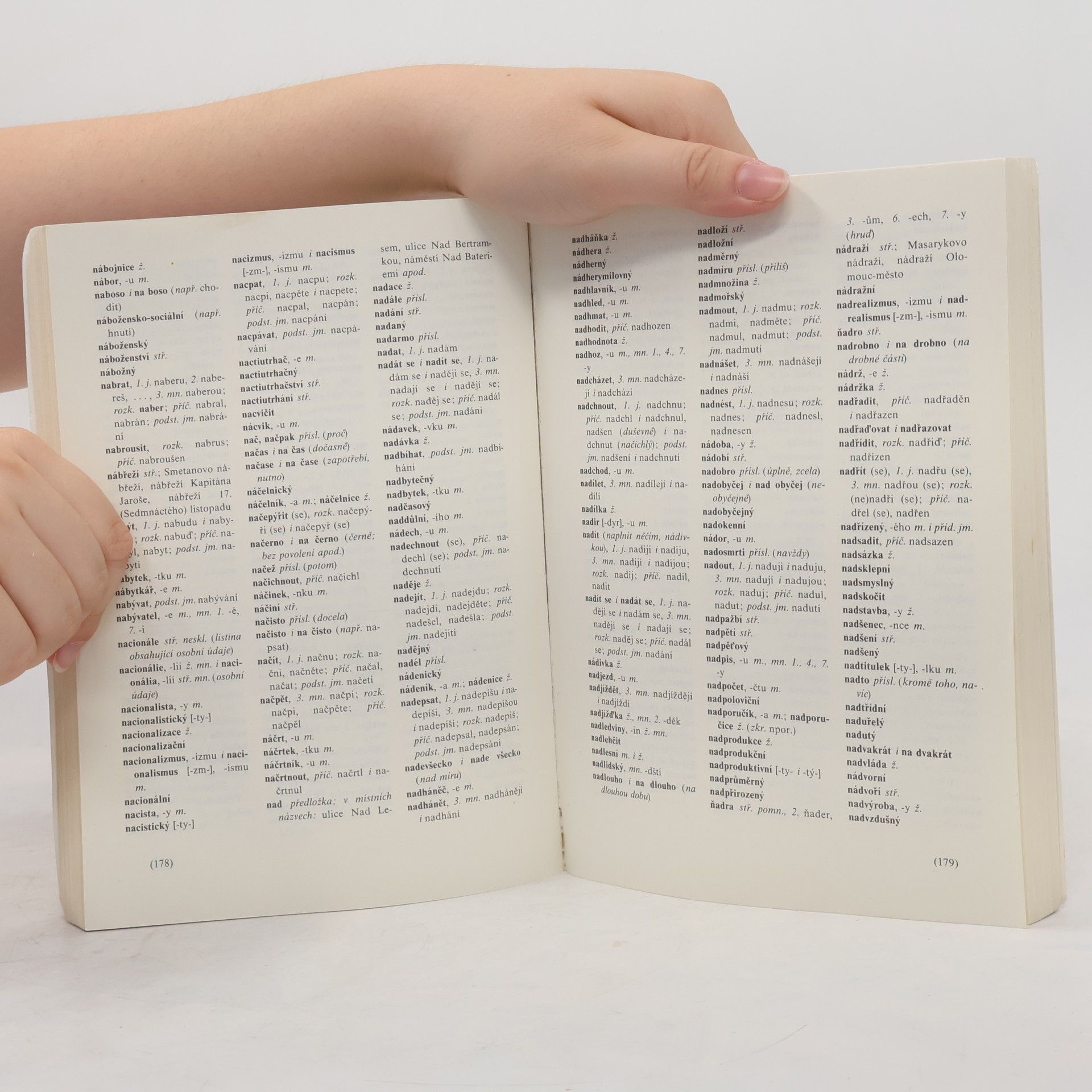 Autorenkollektiv Pravidla českého pravopisu