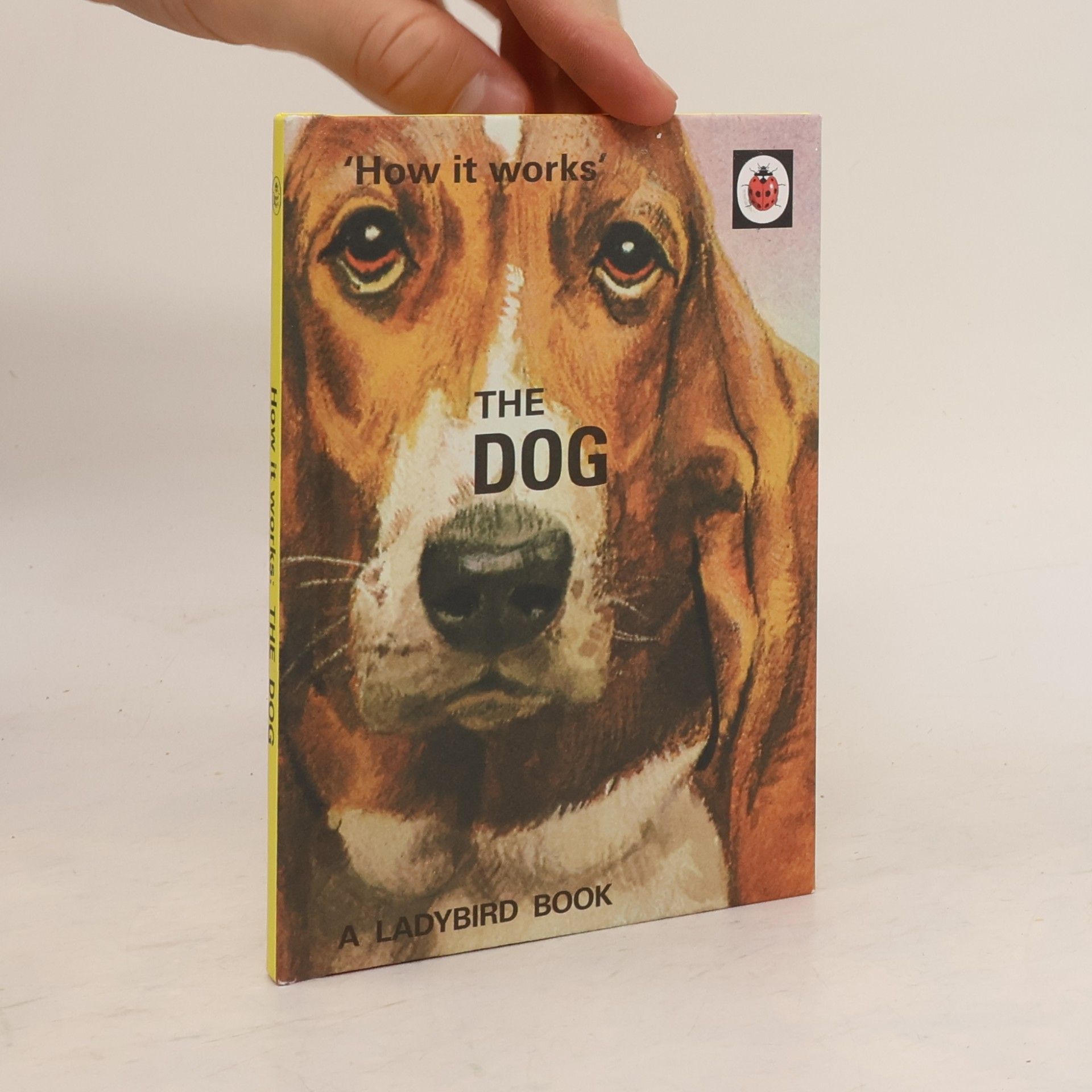 Joel P. Morris How it Works: The Dog