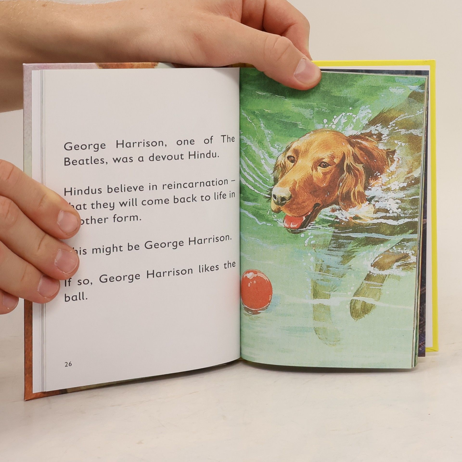 Jason A. Hazeley How it Works: The Dog