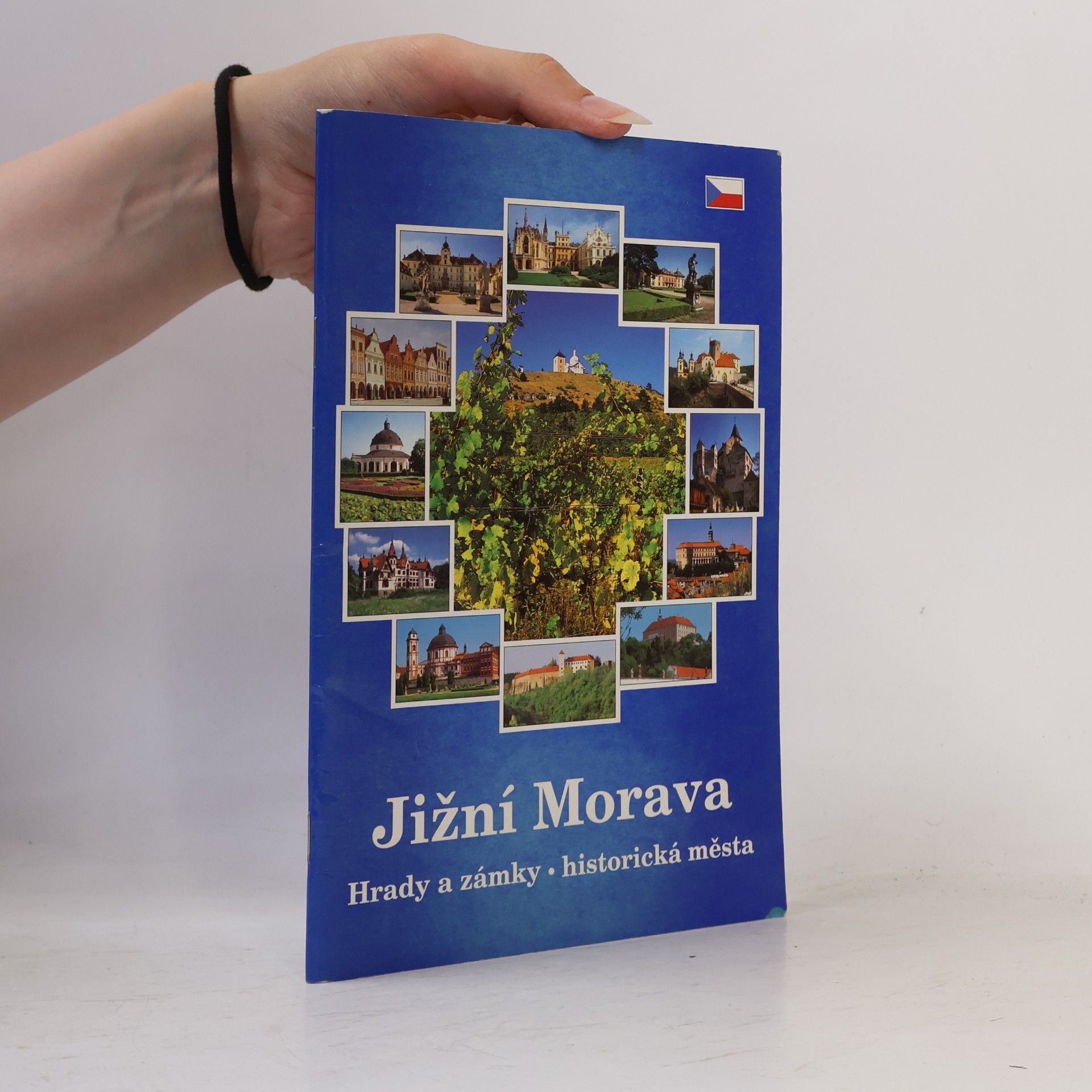 kolektiv Jižní Morava: Hrady a zámky, historická města.