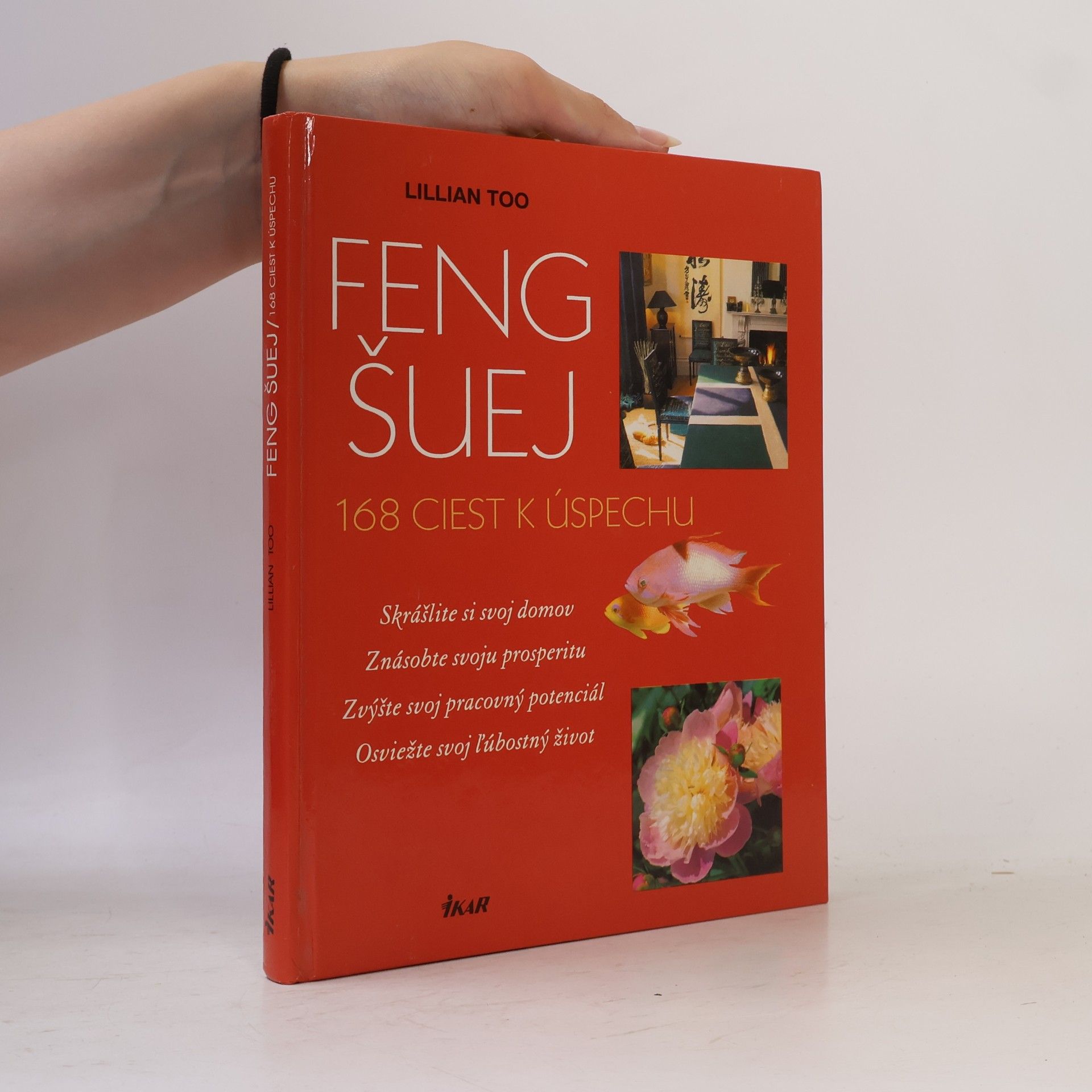 Feng Šuej- 168 ciest k úspechu
