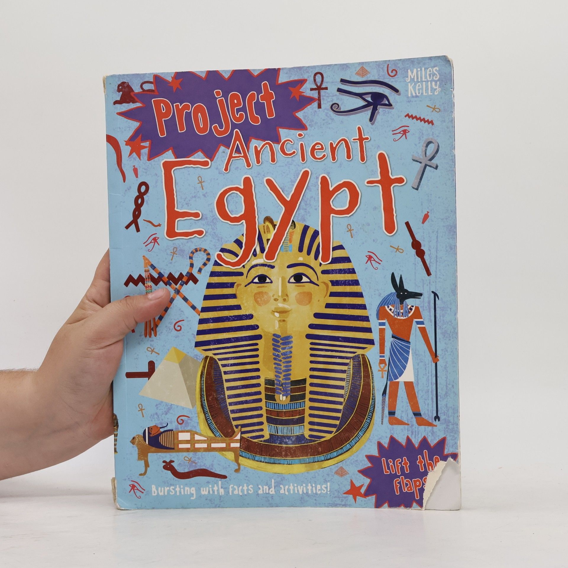 Simon Adams Project Ancient Egypt
