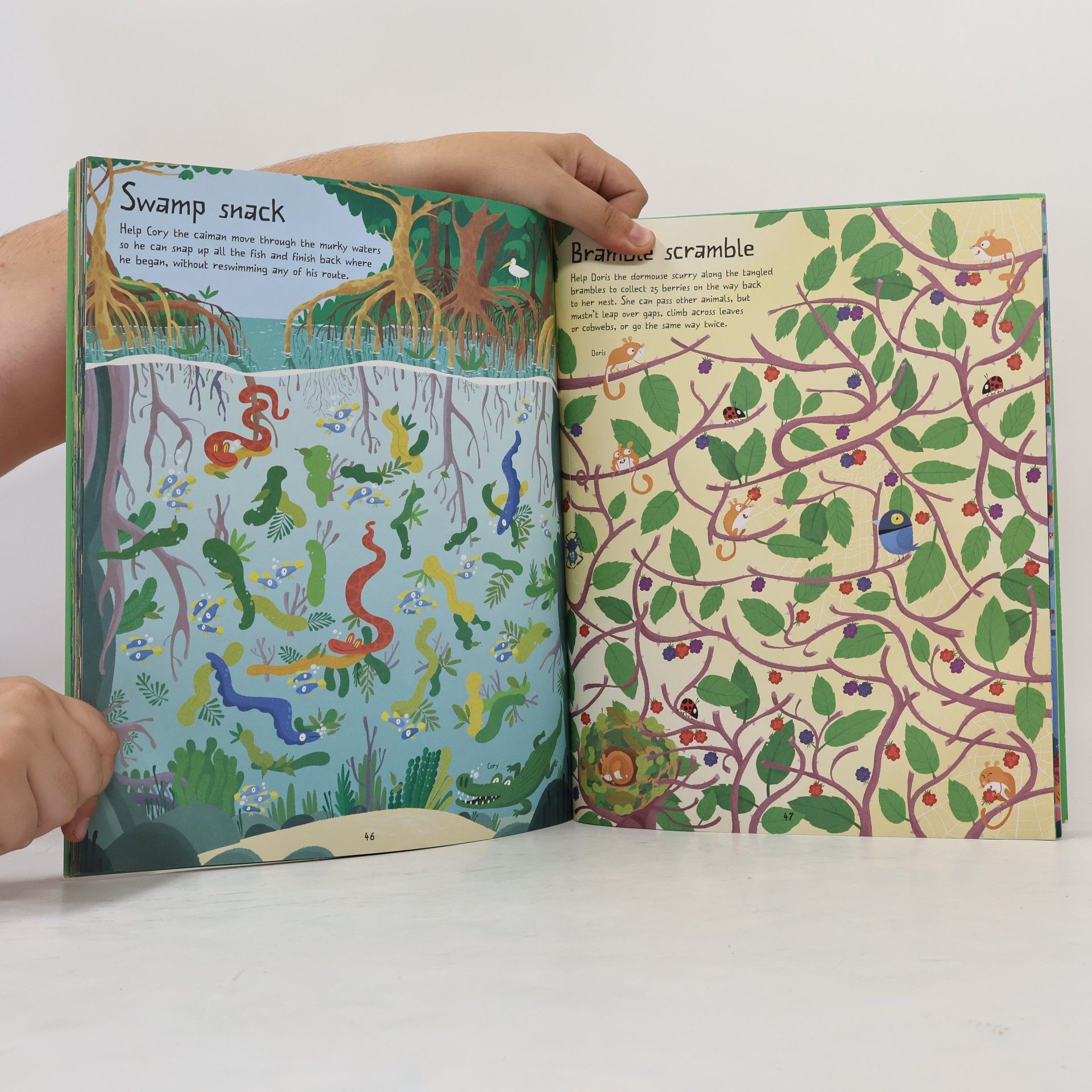 Sam Smith Forest Mazes