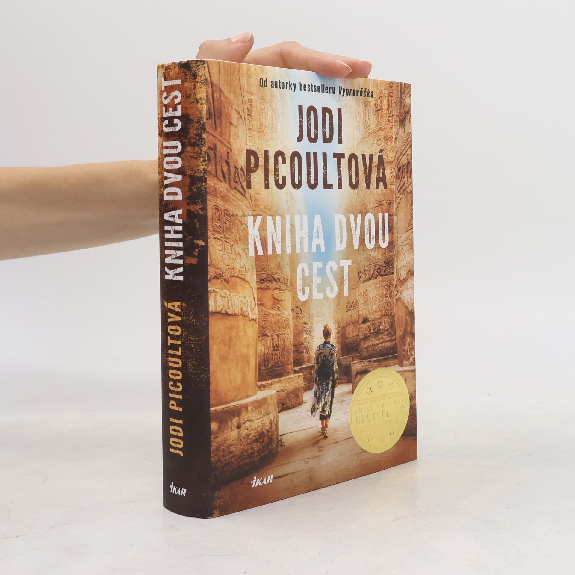 Jodi Picoult Kniha dvou cest