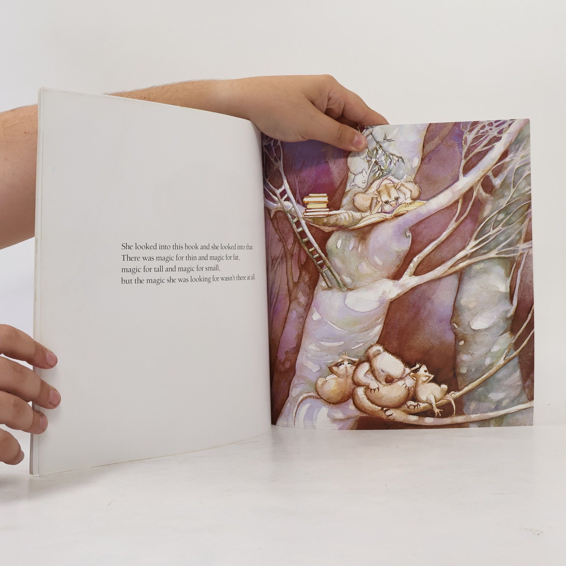 Mem Fox Possum Magic