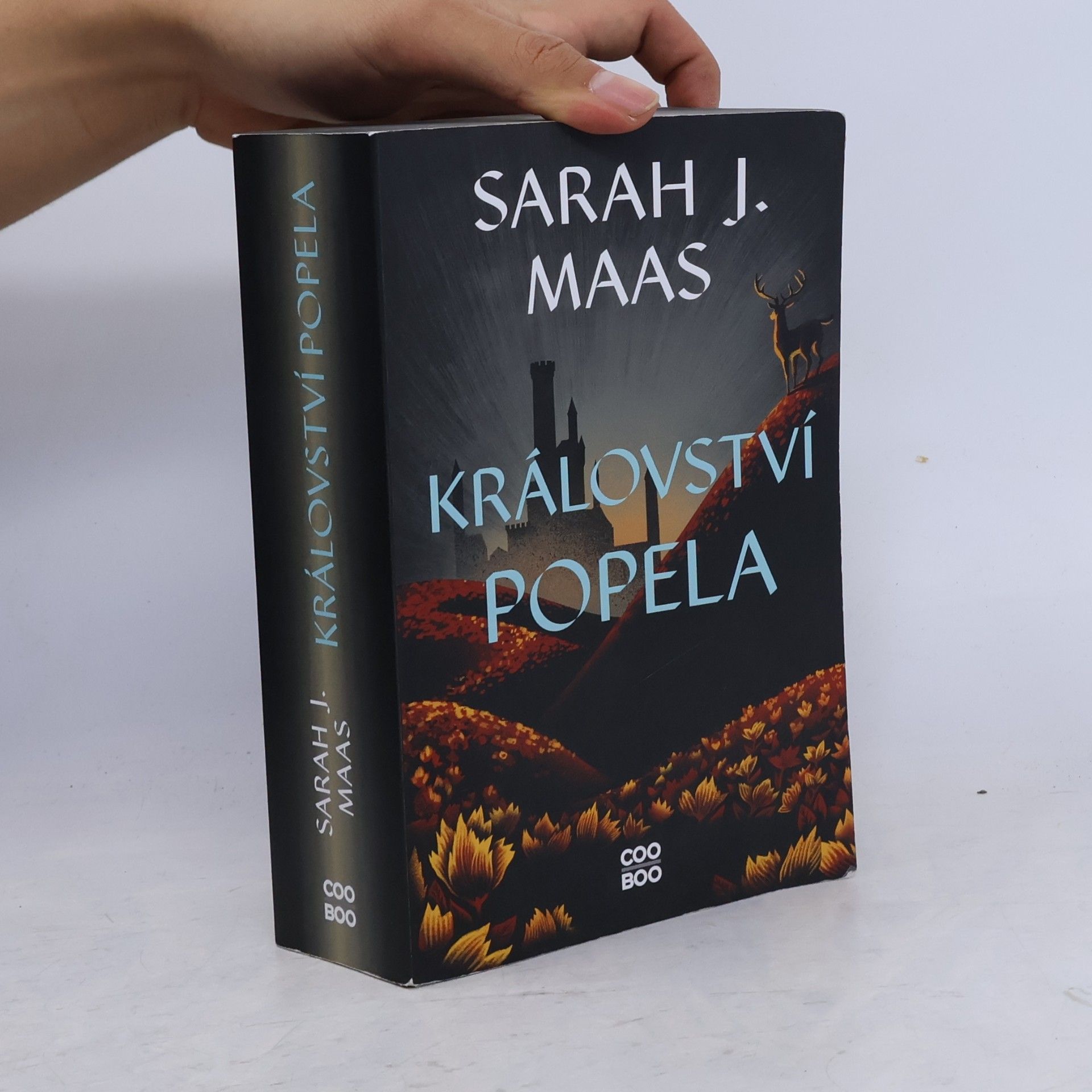Sarah J. Maas Království popela