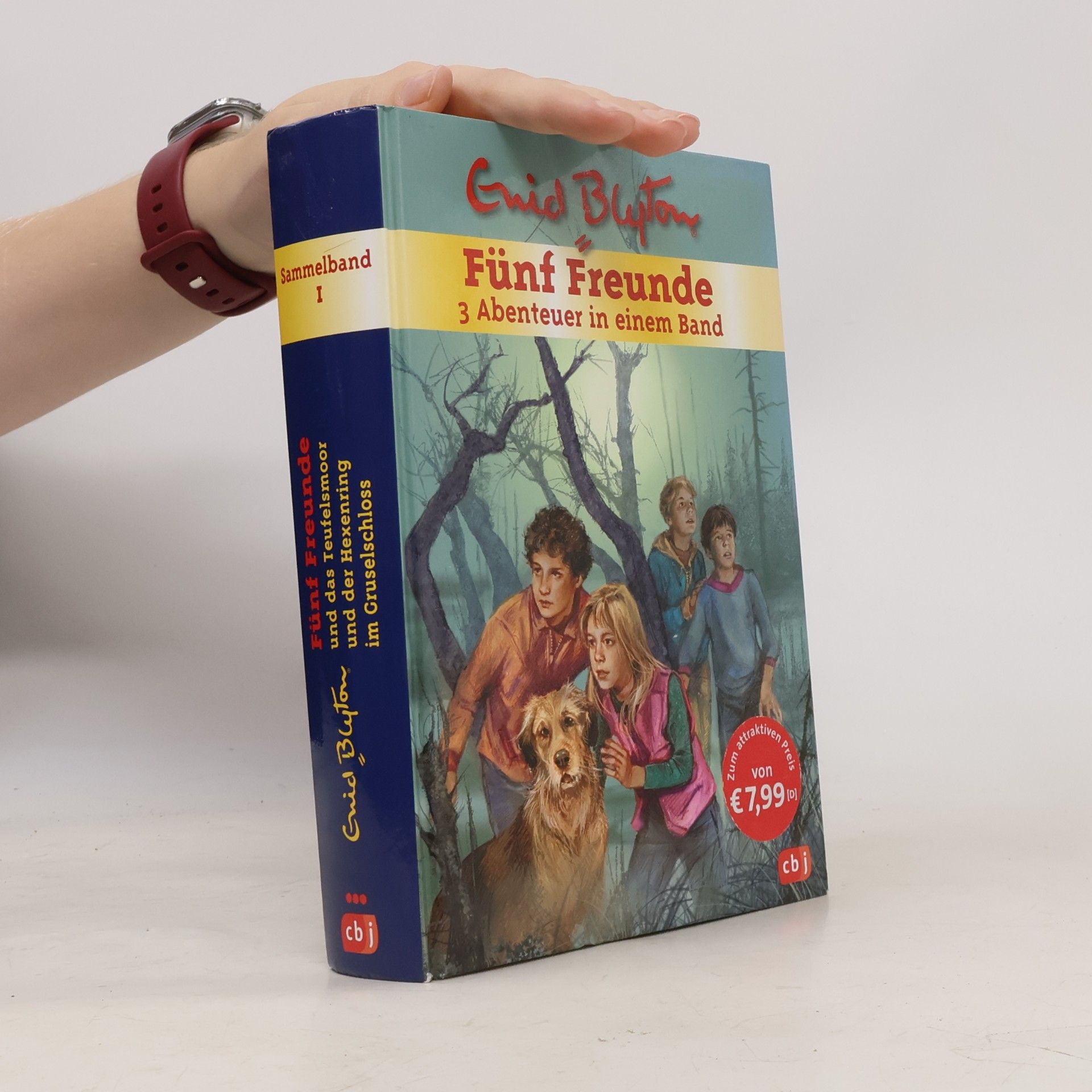Enid Blyton Sammelband 1. Fünf Freunde. 3 Abenteuer in einem Band