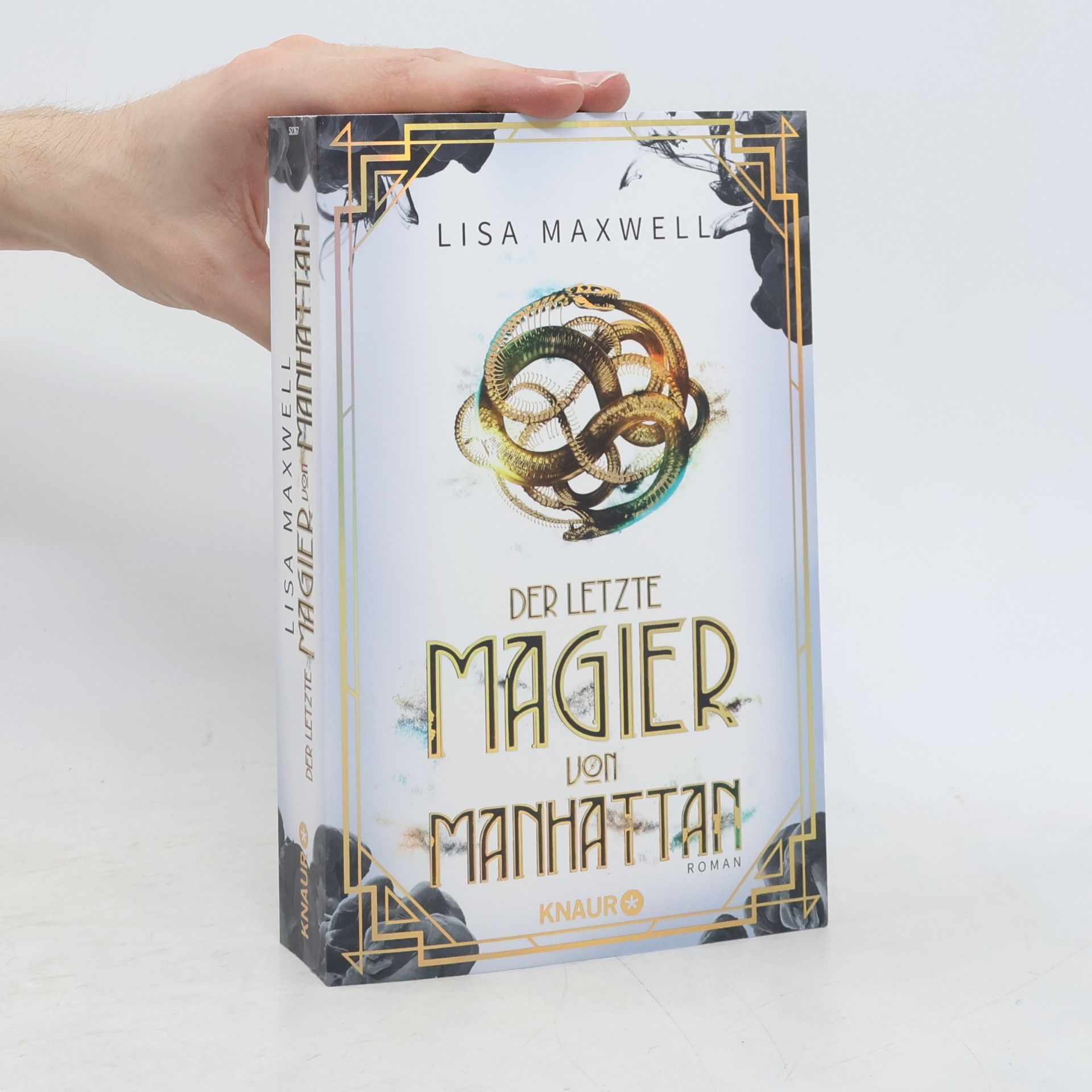 Lisa Maxwell Der letzte Magier von Manhattan