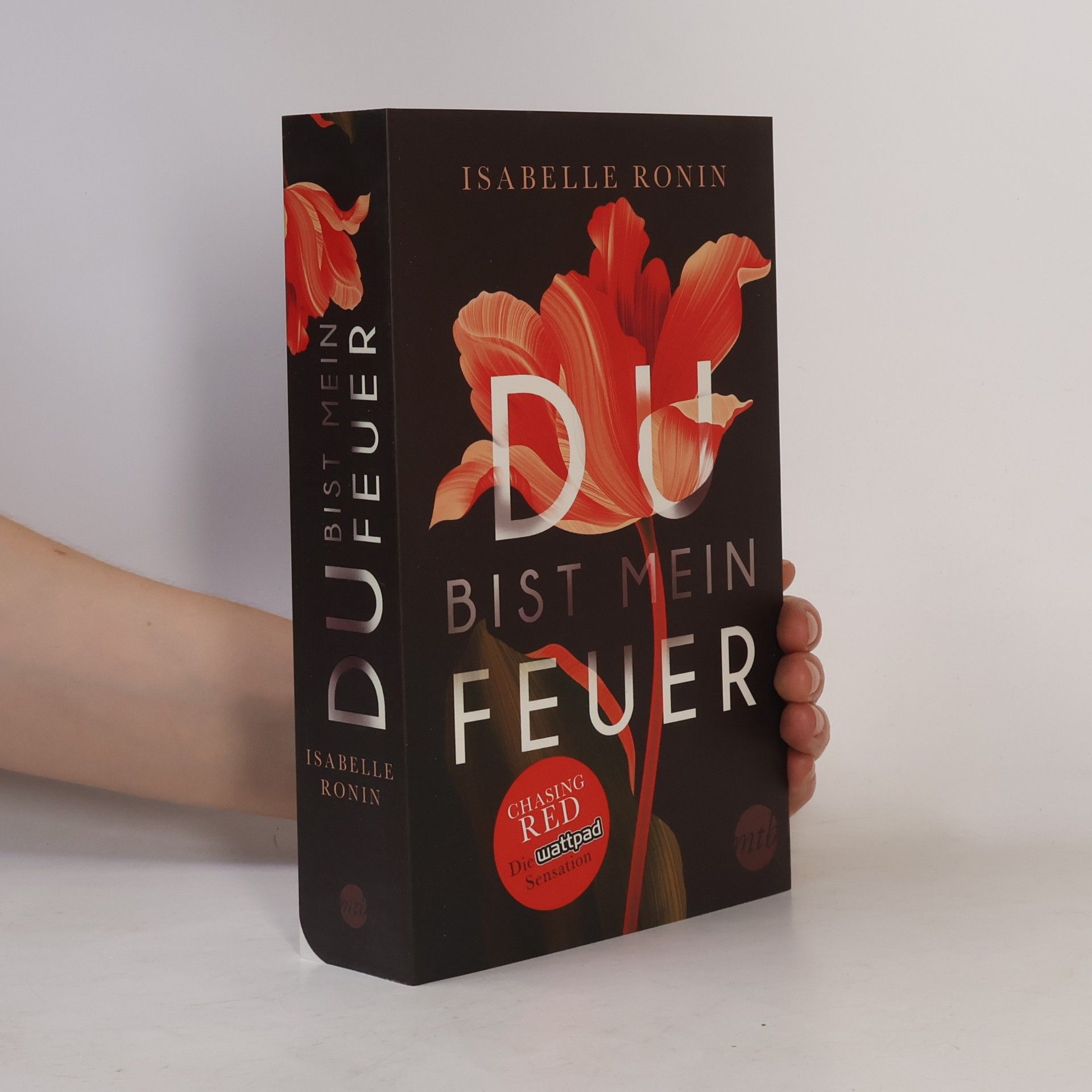 Isabelle Ronin Du bist mein Feuer