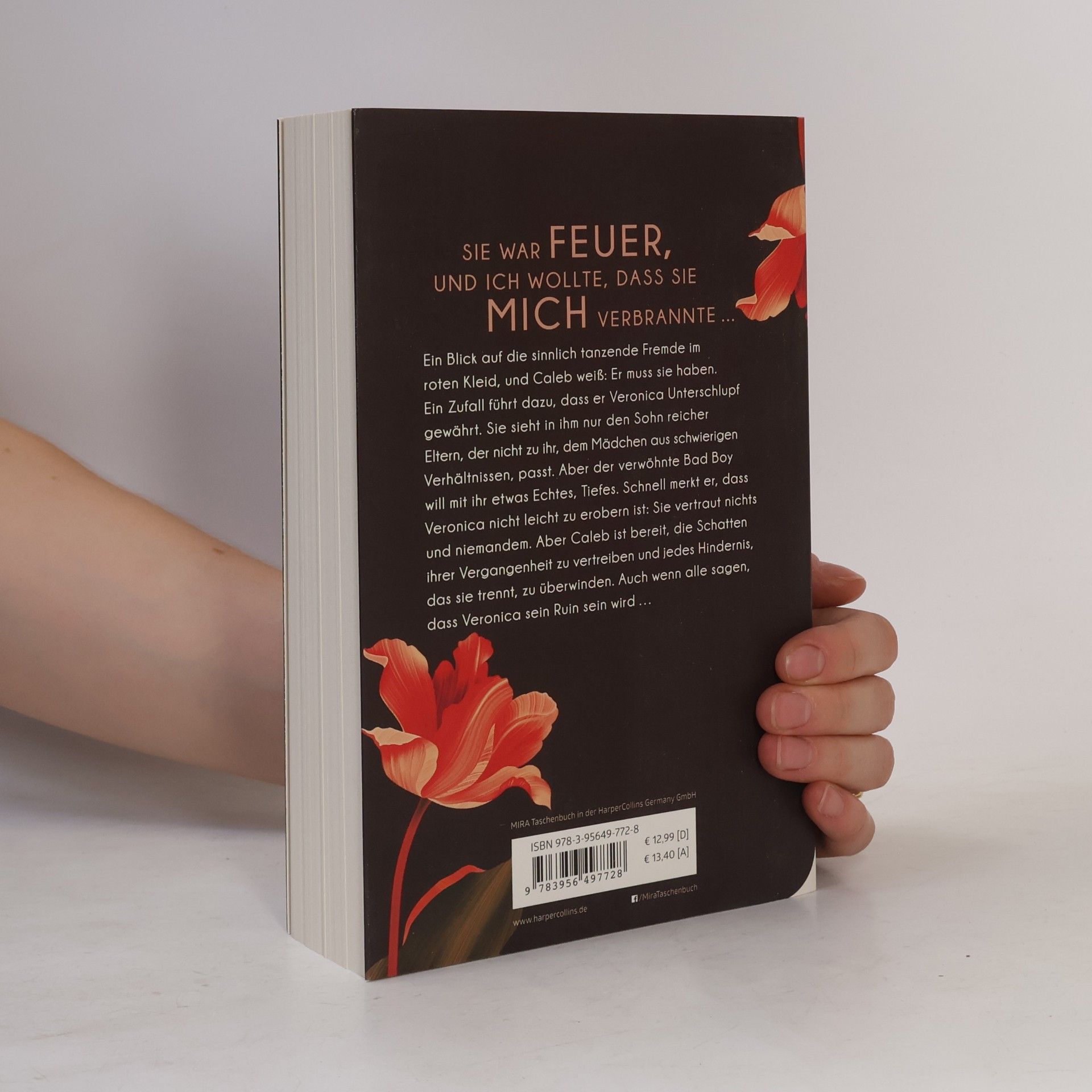 Isabelle Ronin Du bist mein Feuer