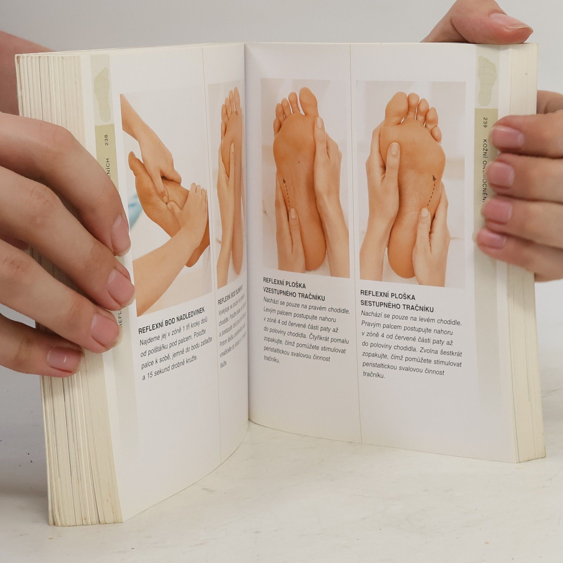 Louise Keet Reflexologie od A do Z