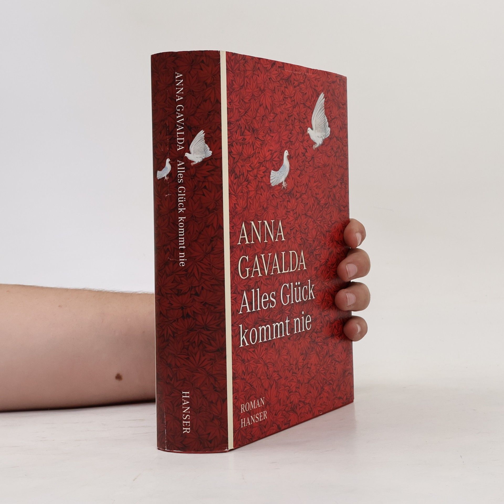 Anna Gavalda Alles Glück kommt nie