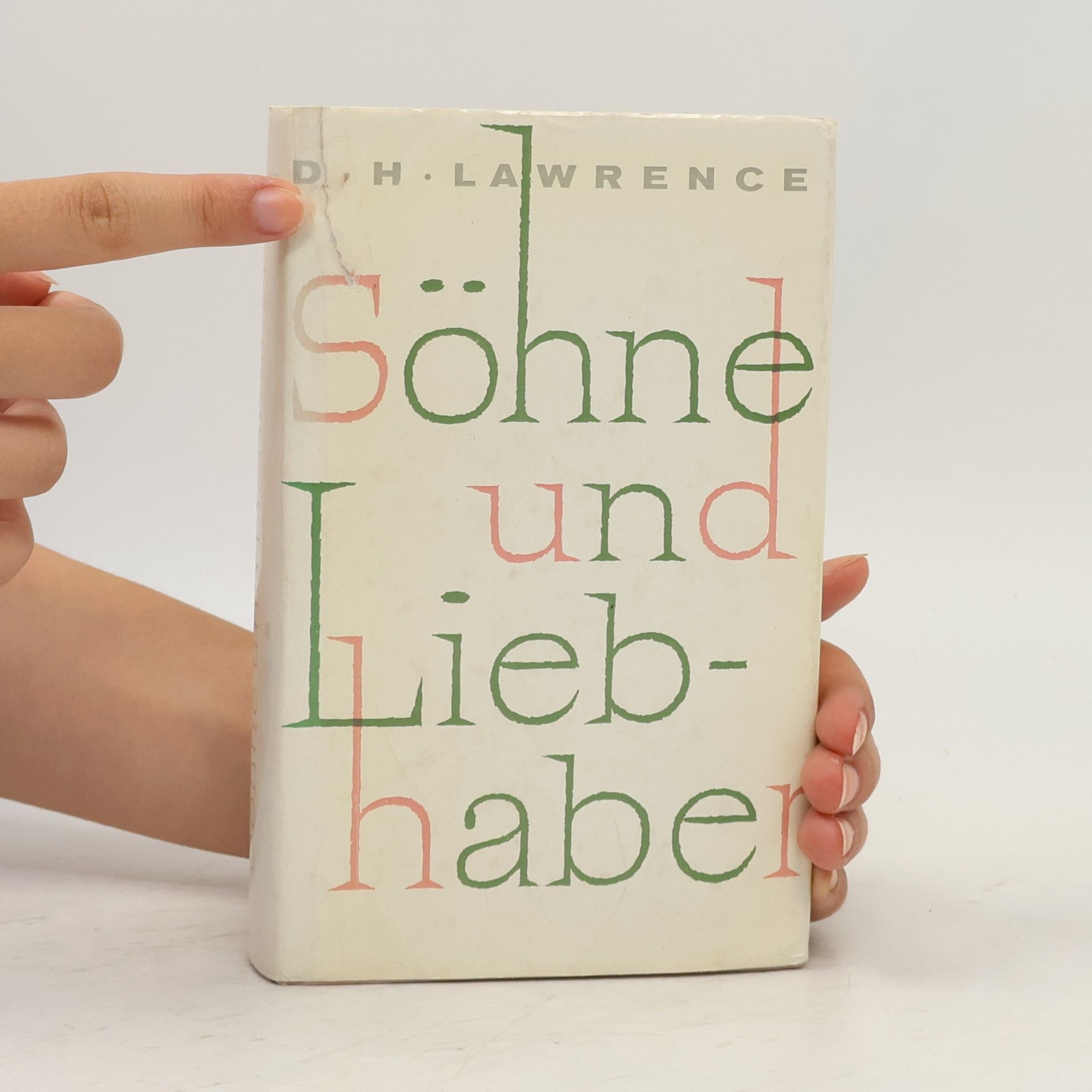 D. H. Lawrence Söhne und Liebhaber