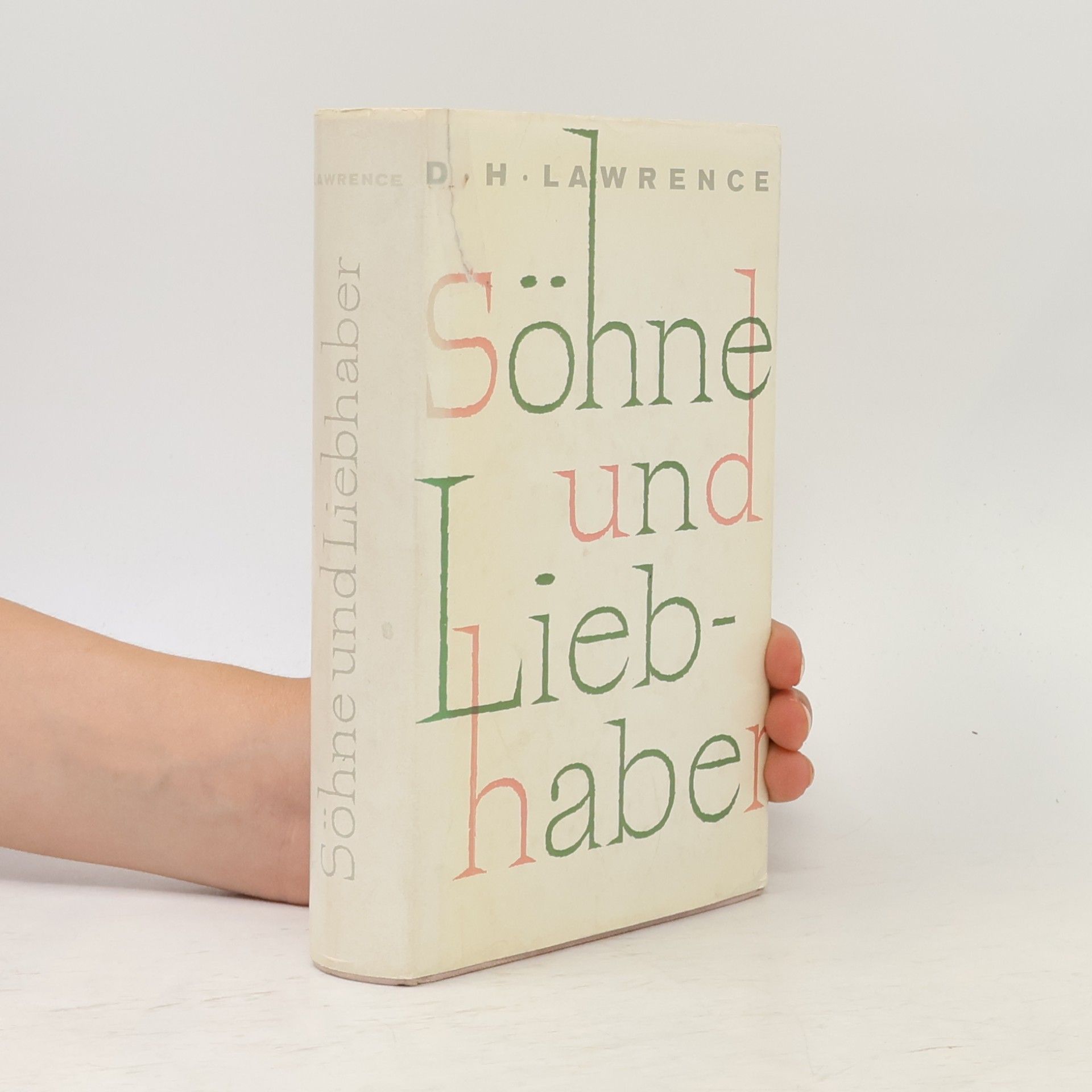 D. H. Lawrence Söhne und Liebhaber