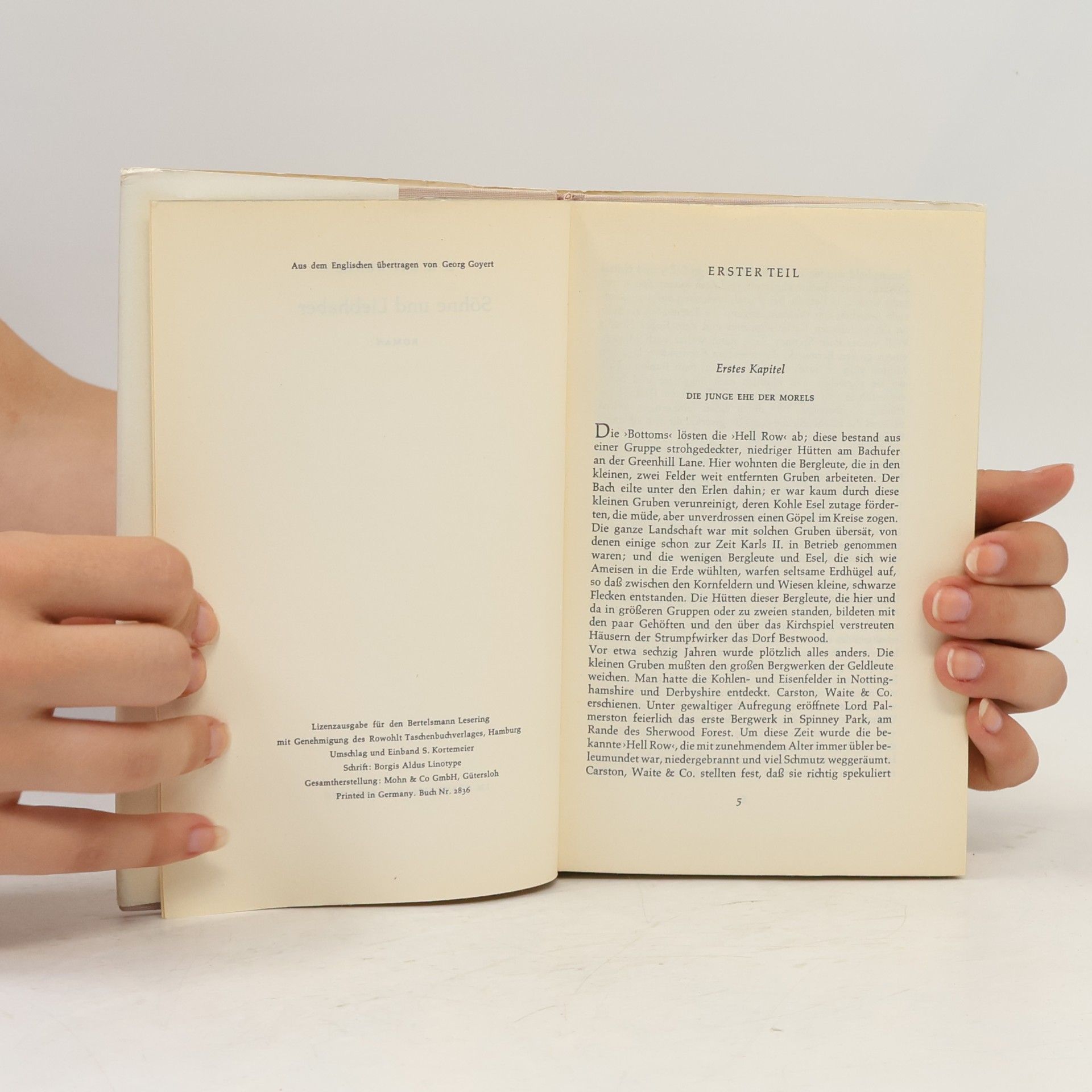 D. H. Lawrence Söhne und Liebhaber