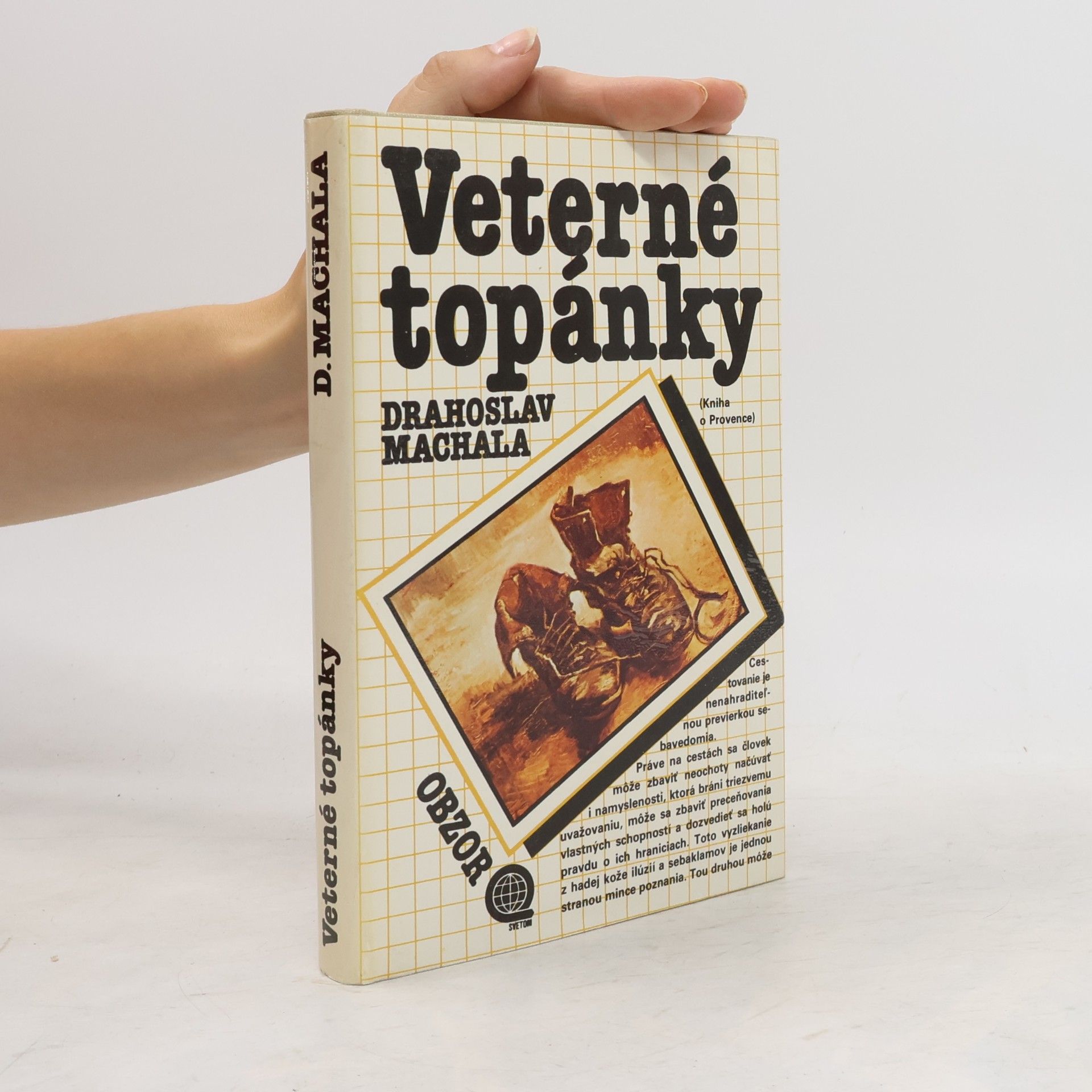 Veterné topánky