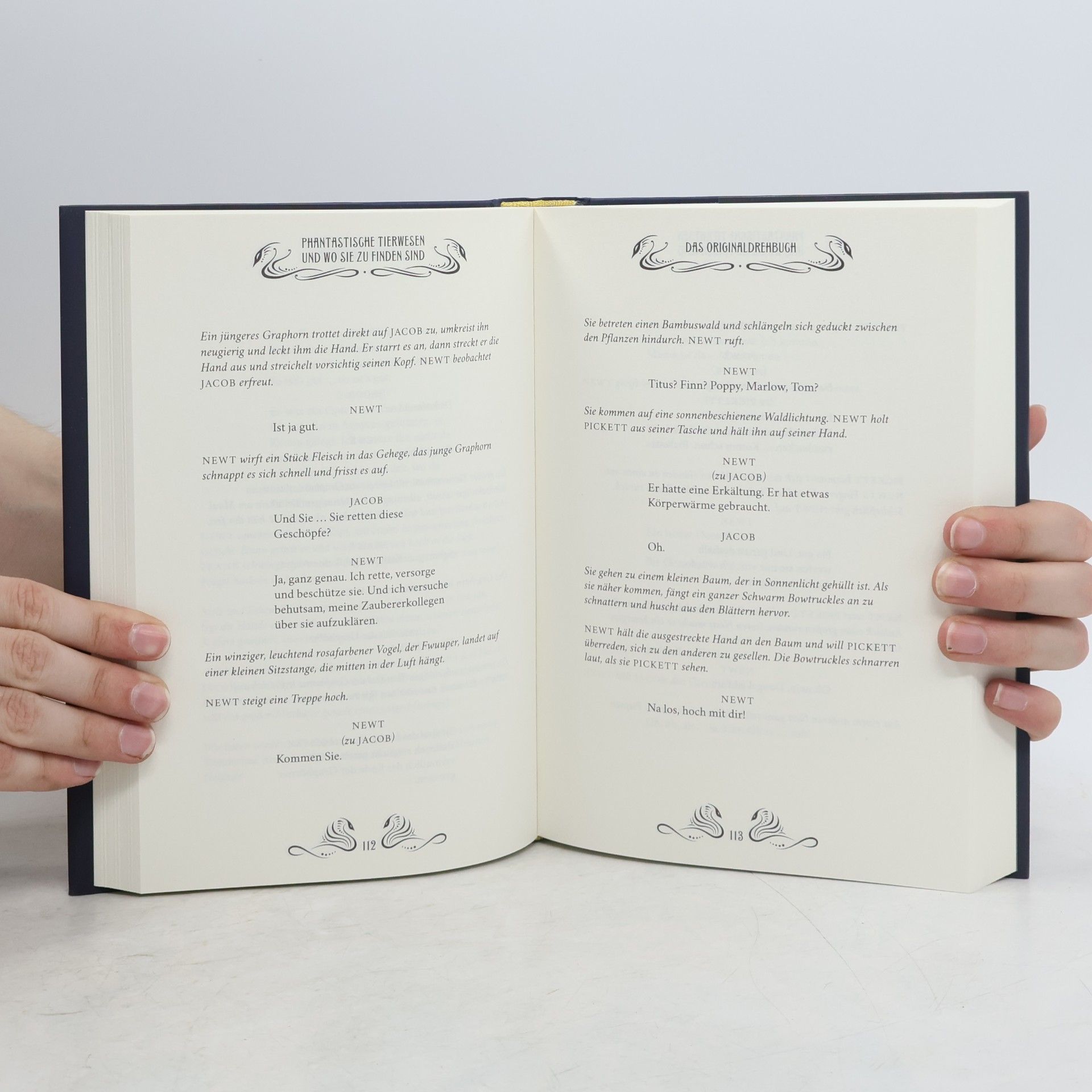 J. K. Rowling Phantastische Tierwesen und wo sie zu finden sind. Das Originaldrehbuch