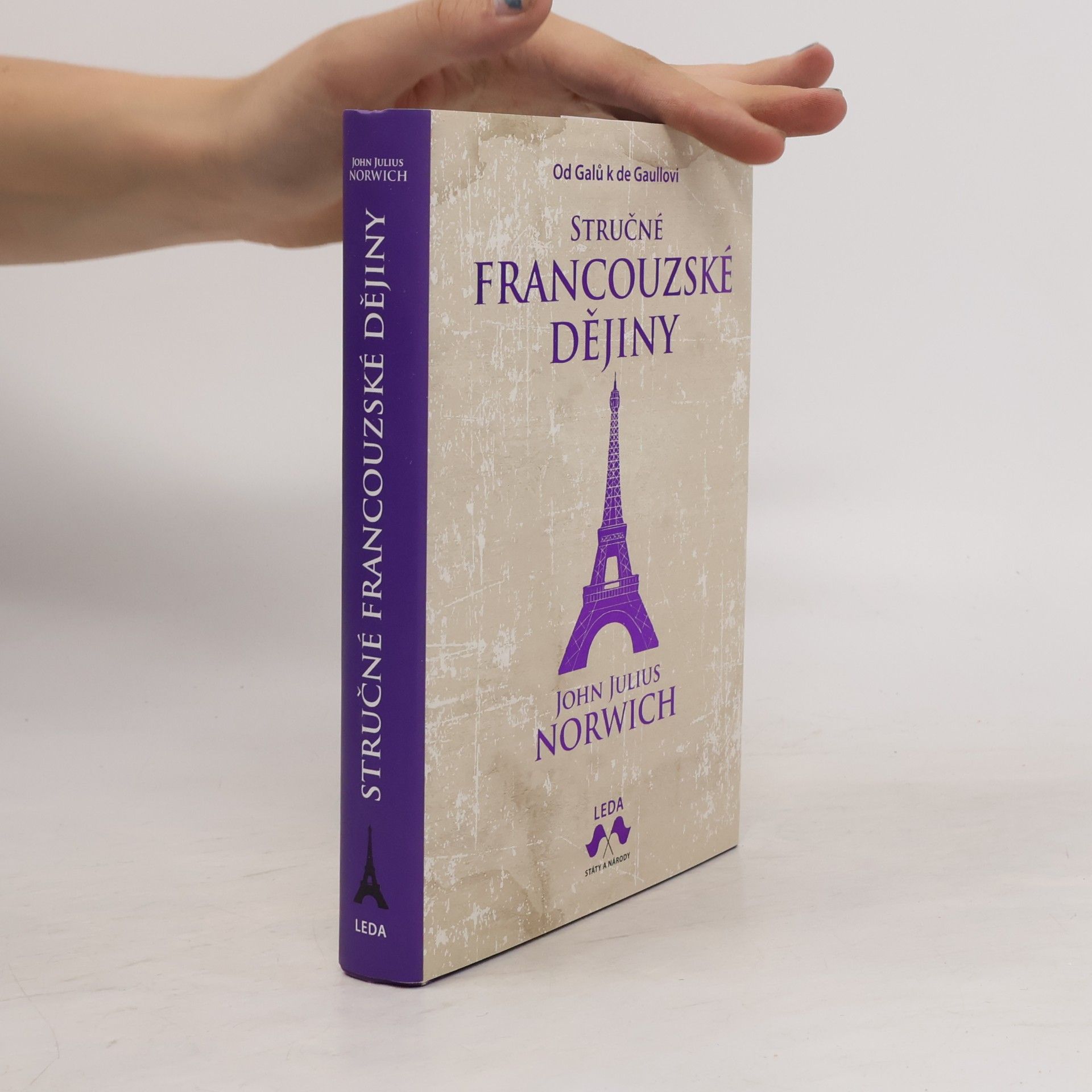 Jeremy Black Stručné francouzské dějiny